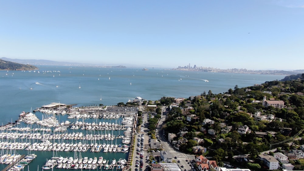 a harbor filled with lots of white boats