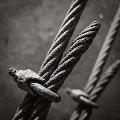 a black and white photo of a rope