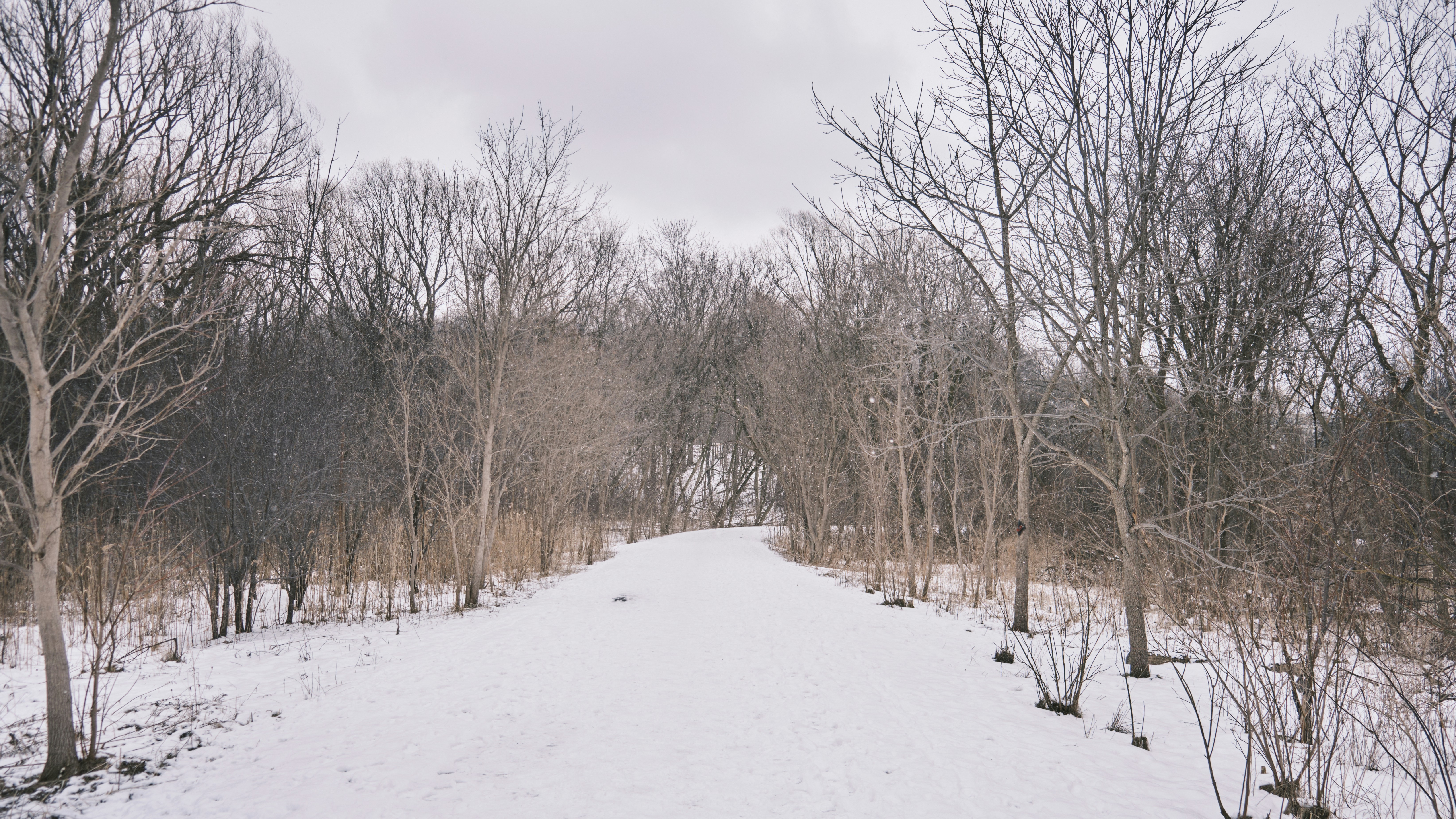 Photo by ultradrumstickman