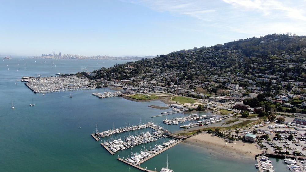 an aerial view of a marina and a city