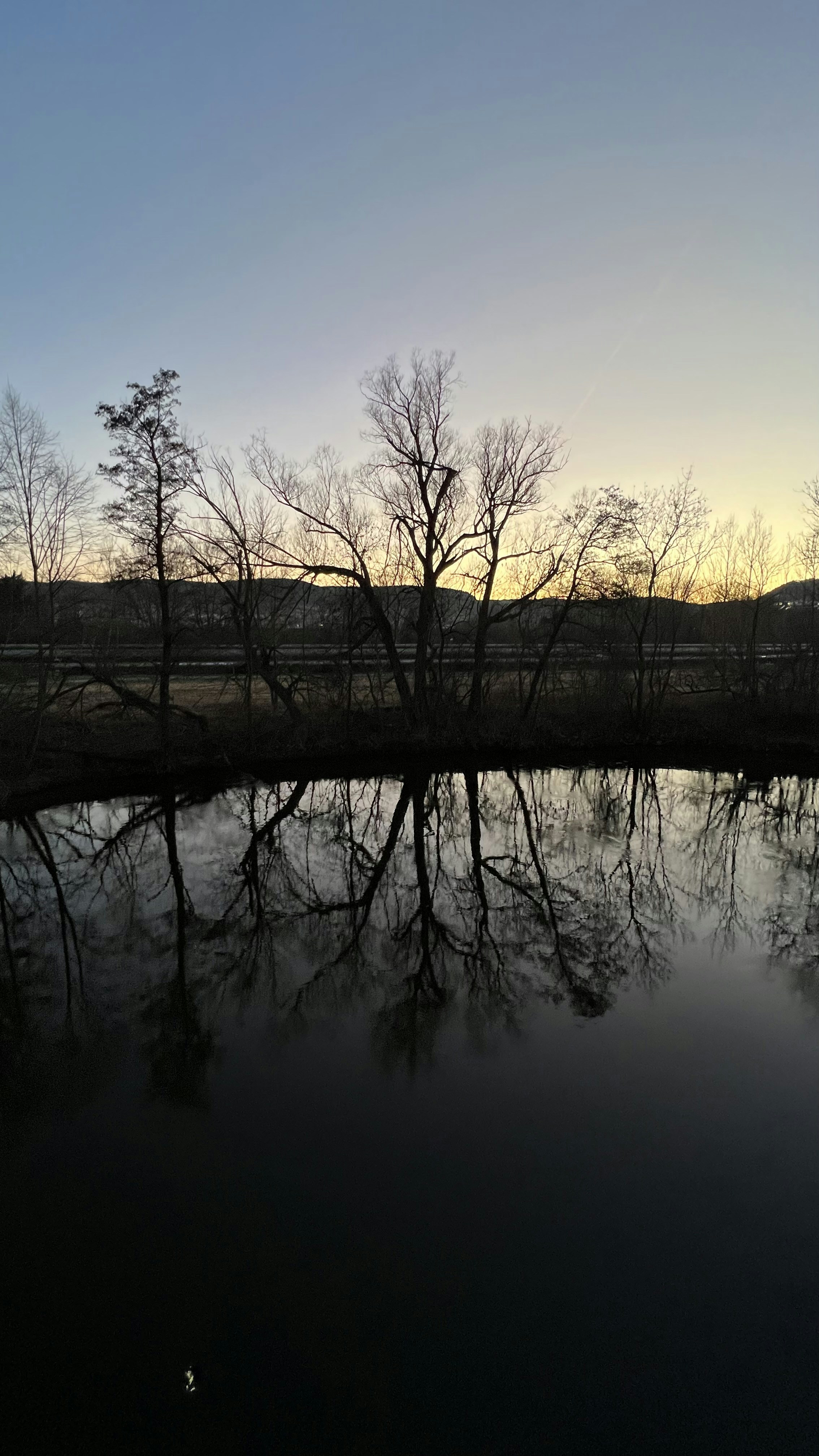 Photo by vegesblue