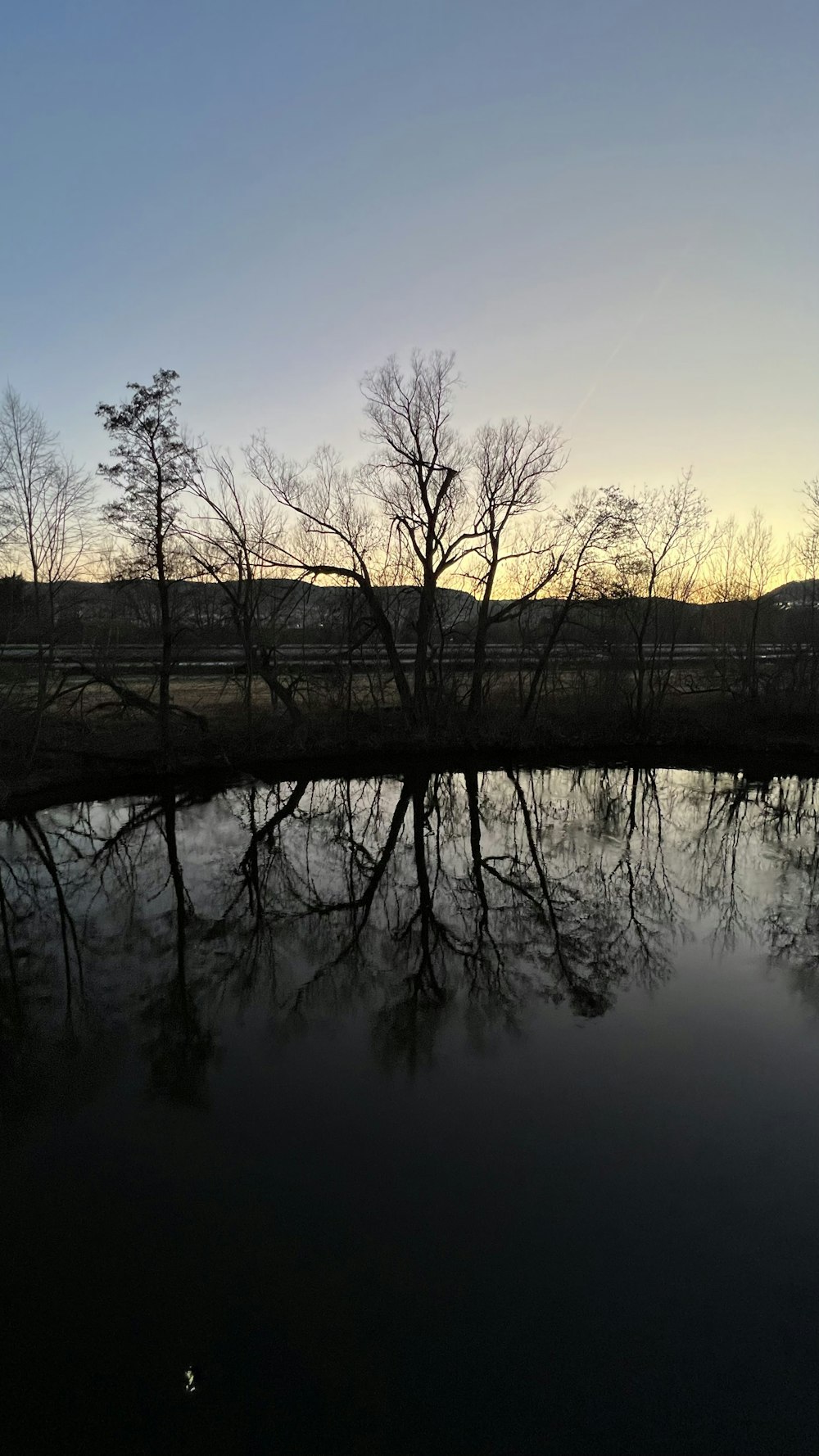 a body of water with trees in the background