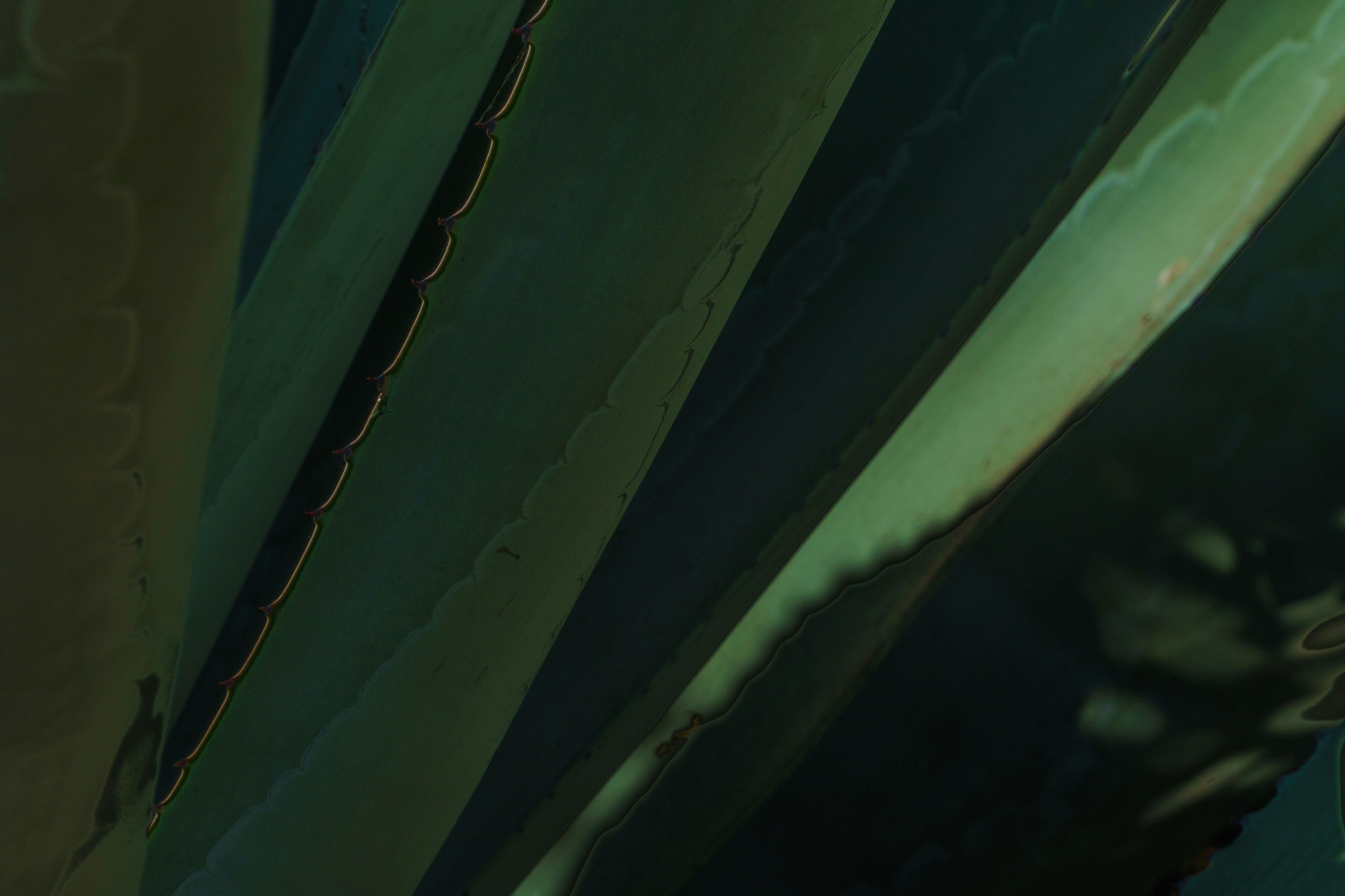 Photo by earl_plannerzone