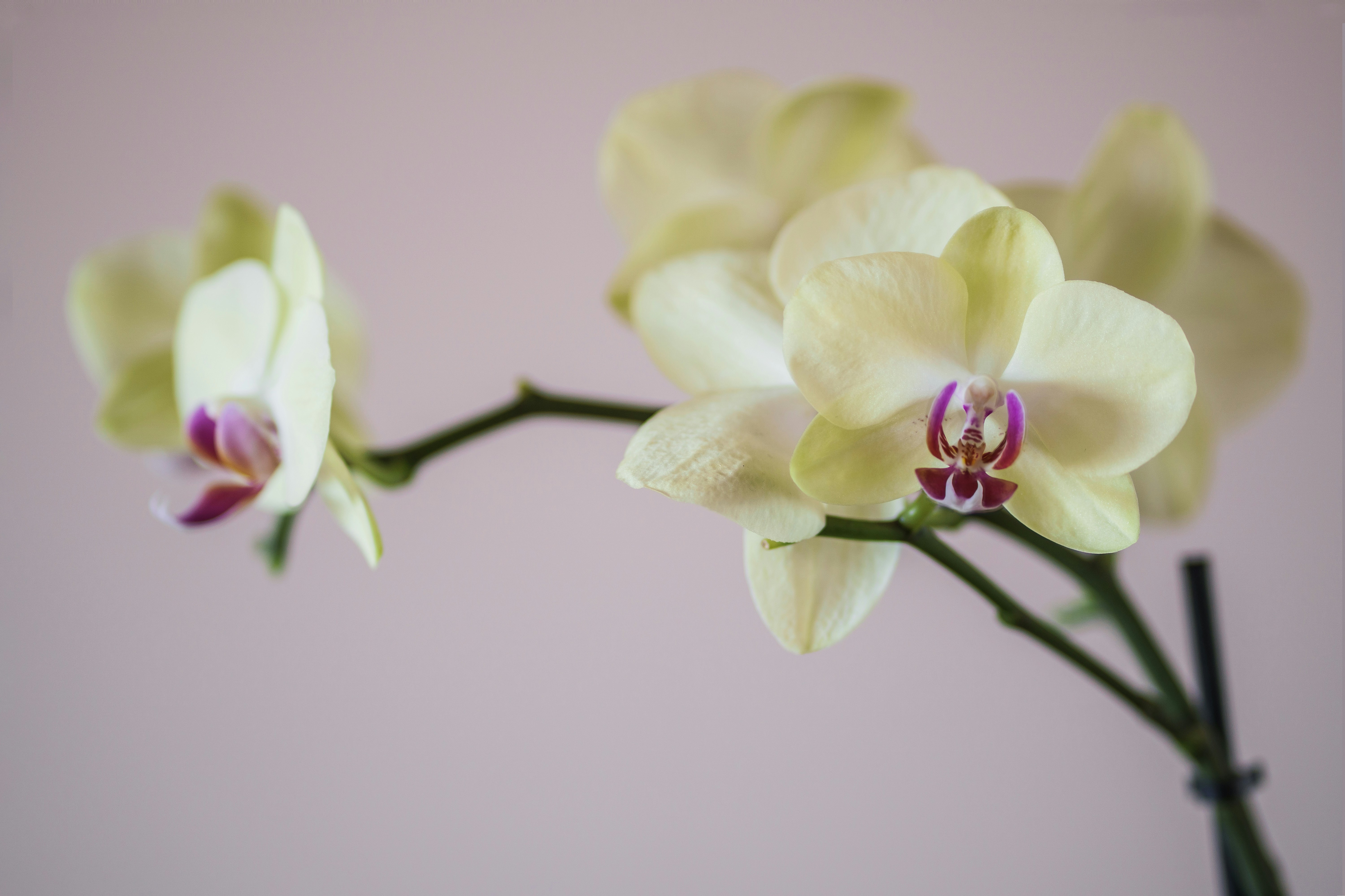 Photo by earl_plannerzone