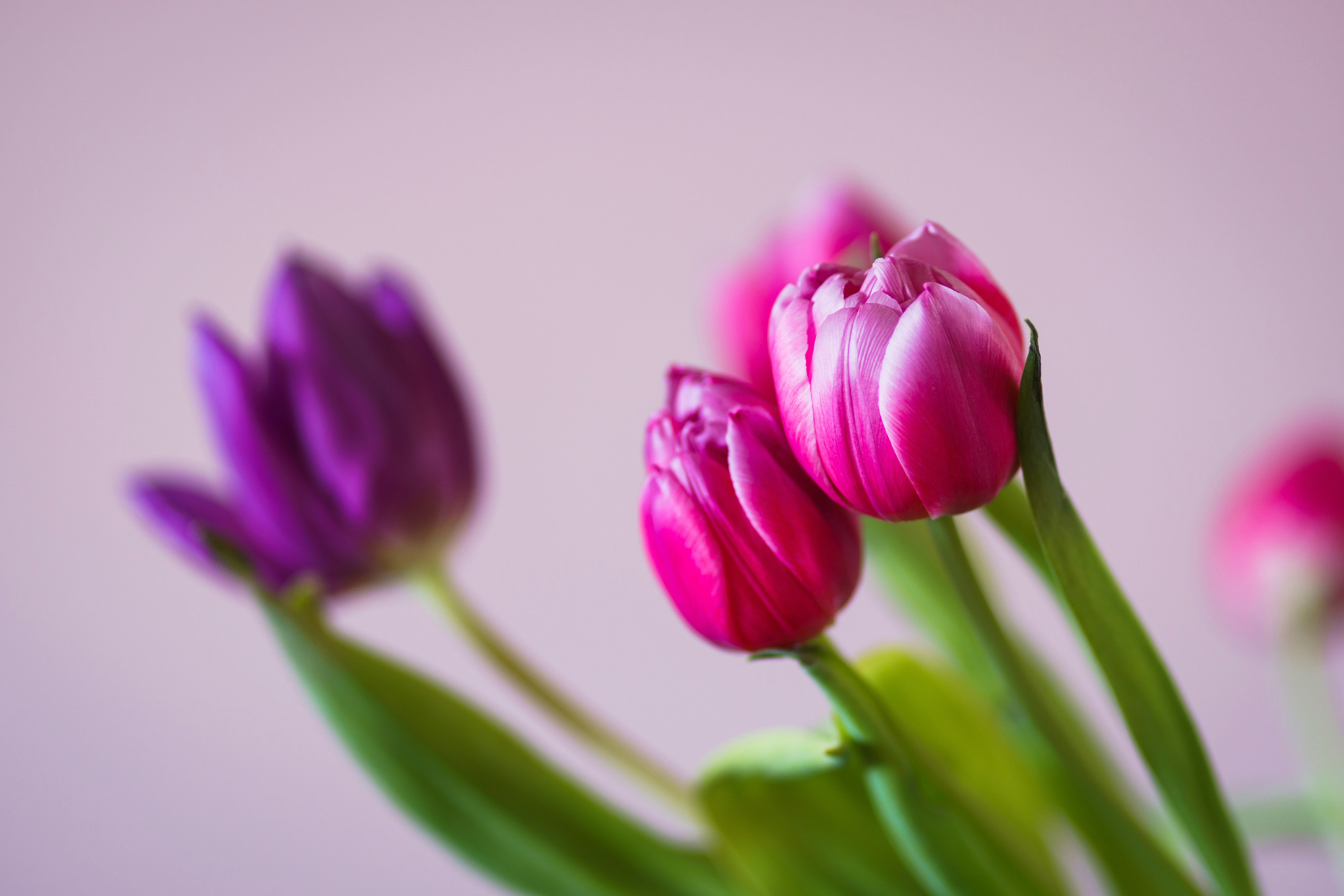 Photo by earl_plannerzone