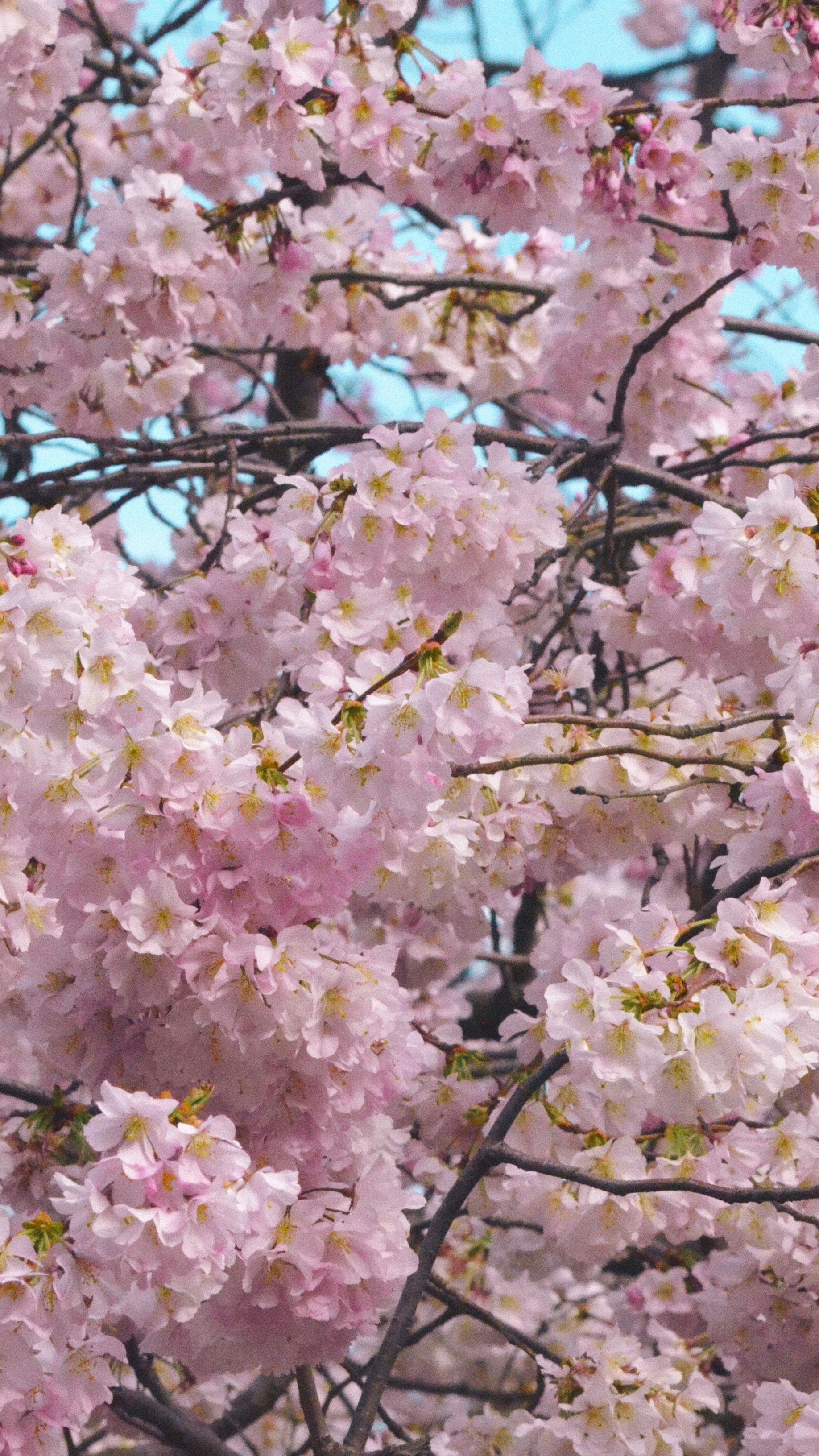 Photo by ruggeroguttilla