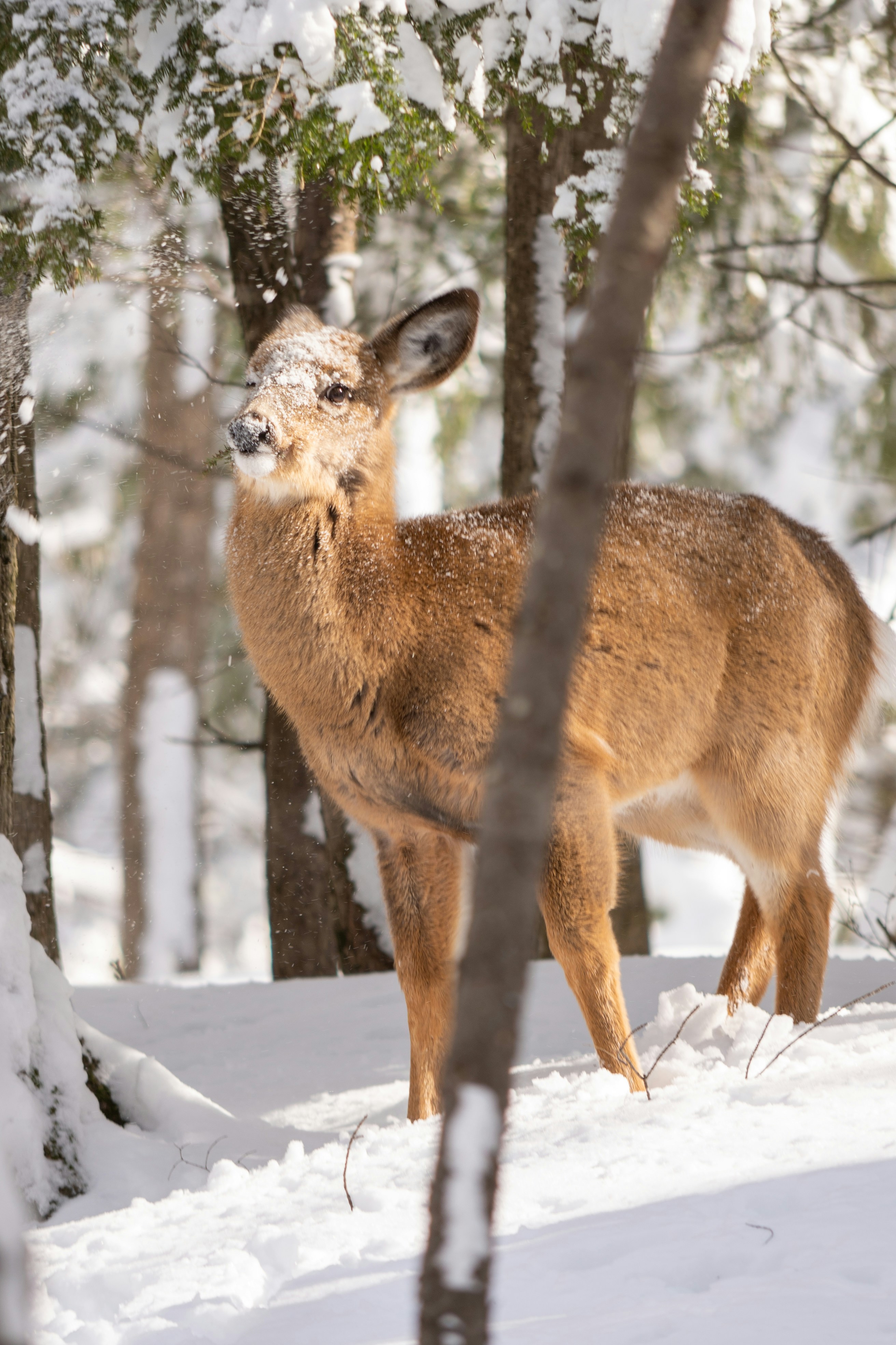 Photo by add_rien_20