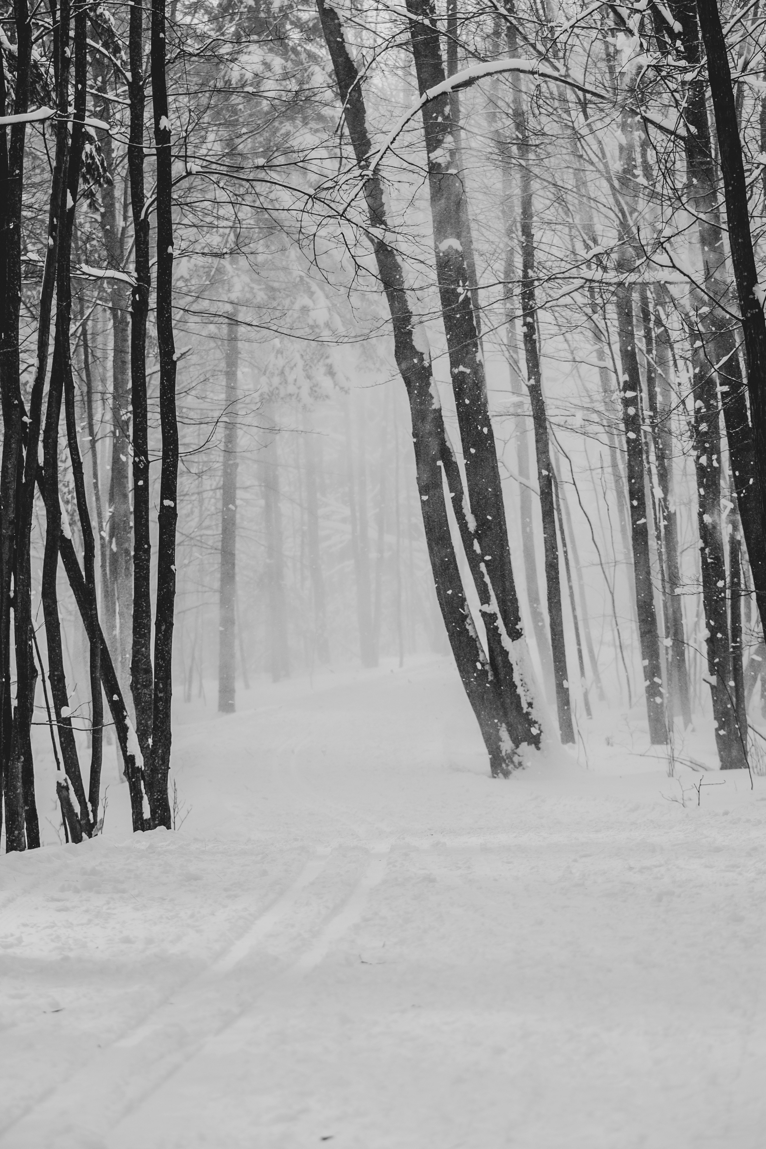 Photo by add_rien_20