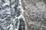 an aerial view of a snow covered forest