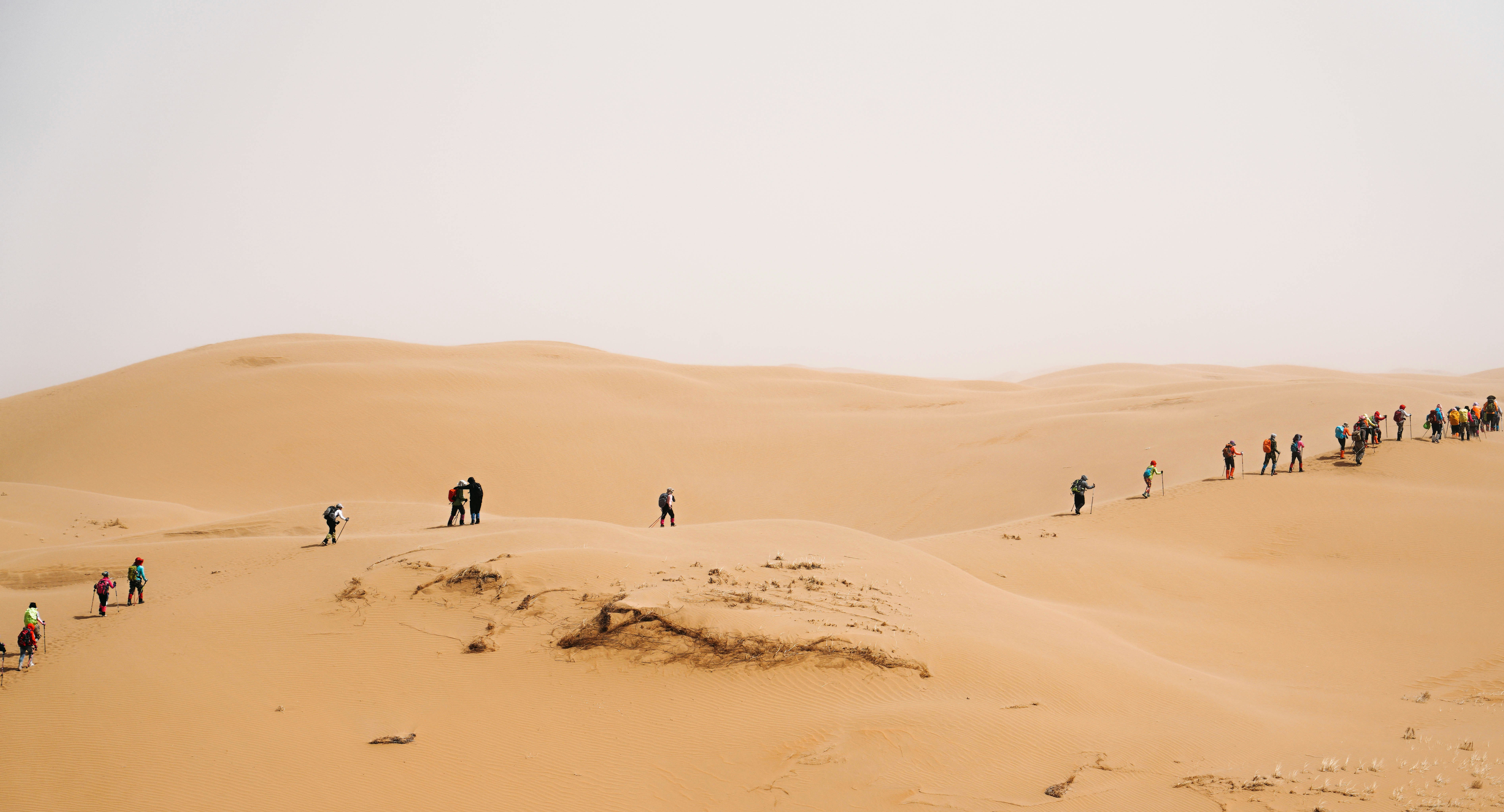 People walking in the desert