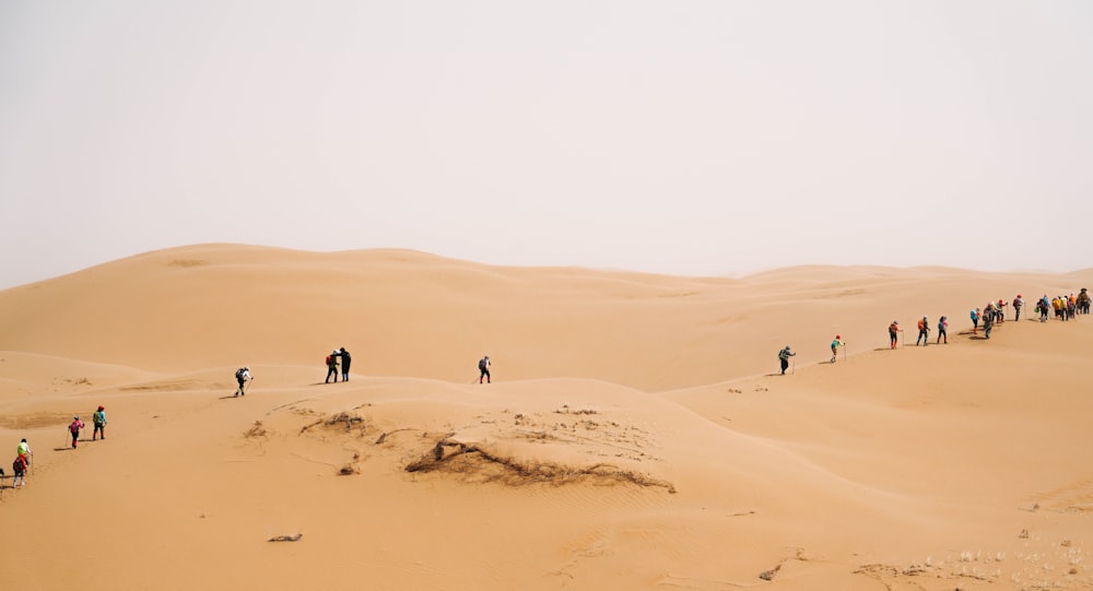 a group of people standing on top of a sand dune