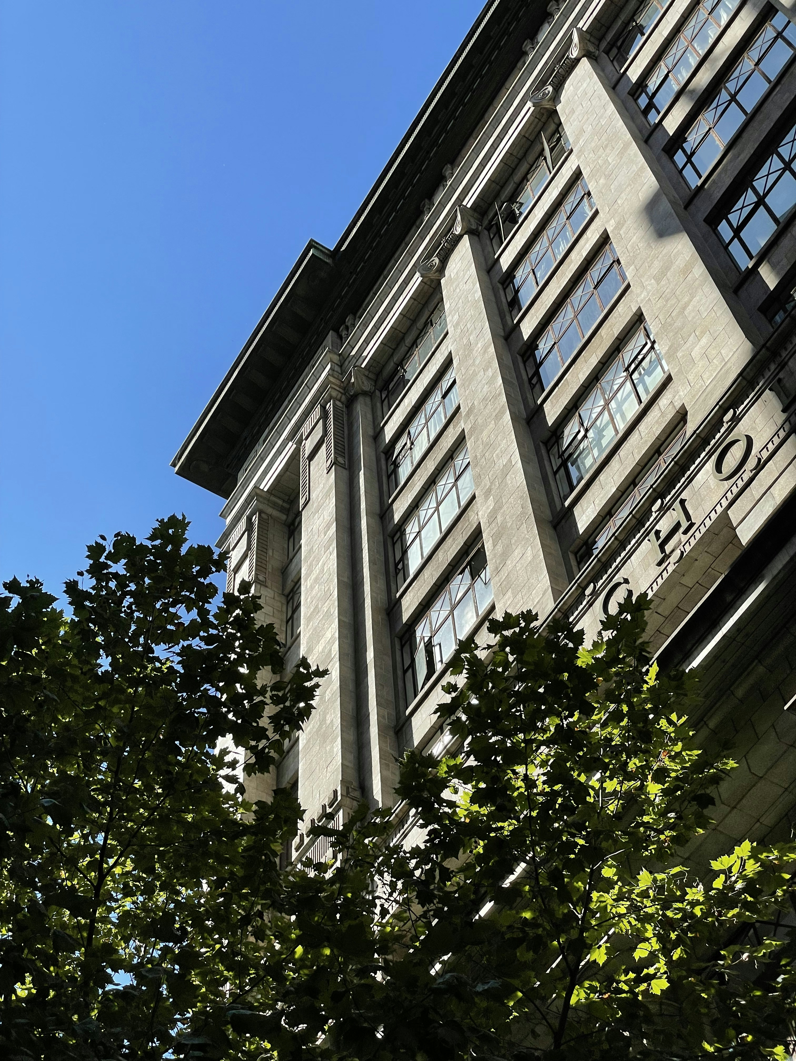 Photo by camwholikestrees