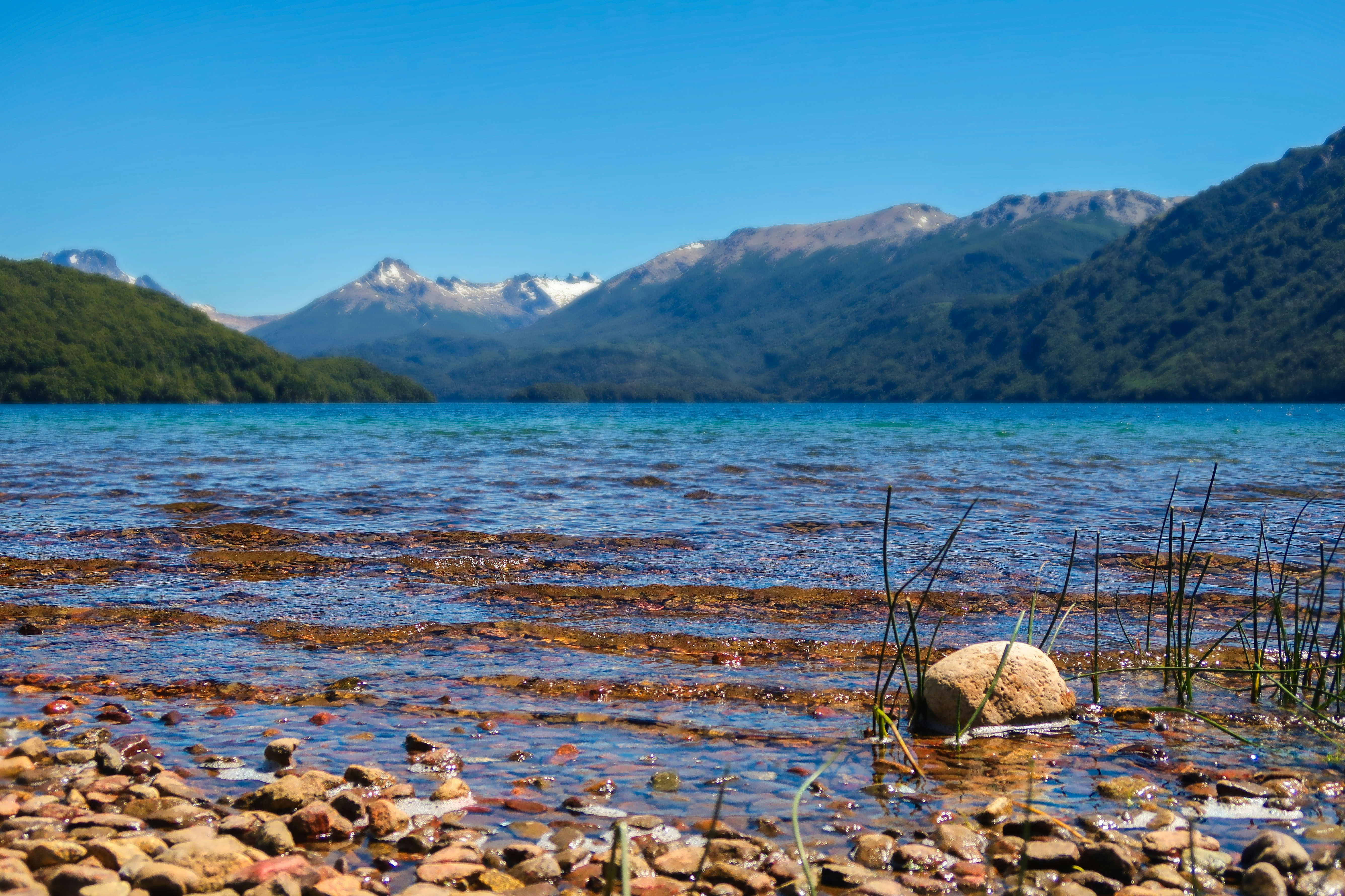 Photo by argentinanatural