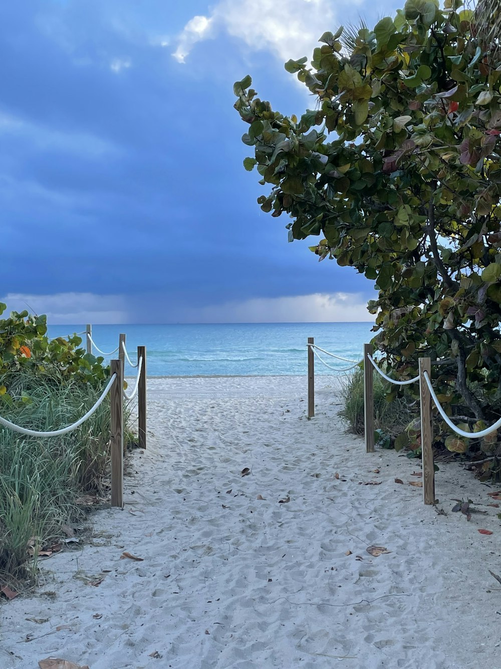 a sandy path leading to the beach with a blue sky in the background