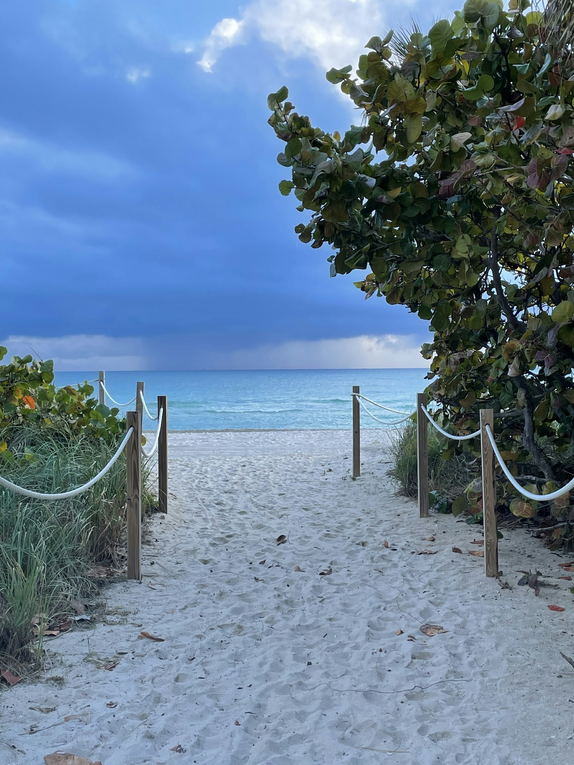 a sandy path leading to the beach with a blue sky in the background