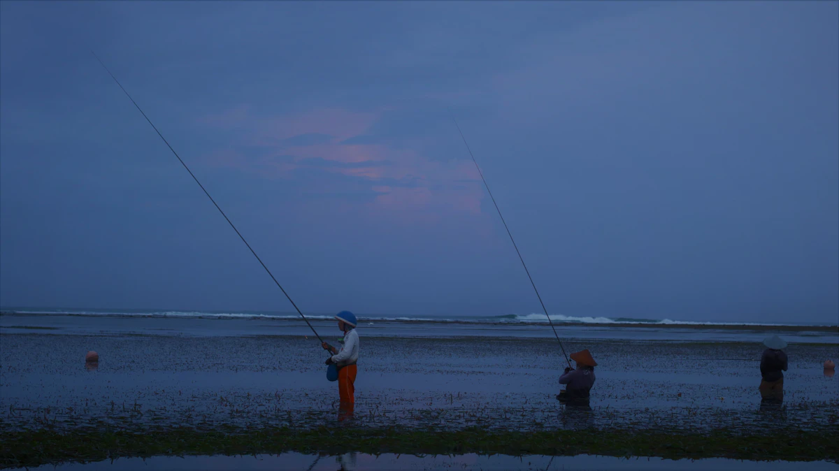 Scenic highlights of Guided Sea Kayak Expedition Through Mangrove Canopies in Nusa Dua
