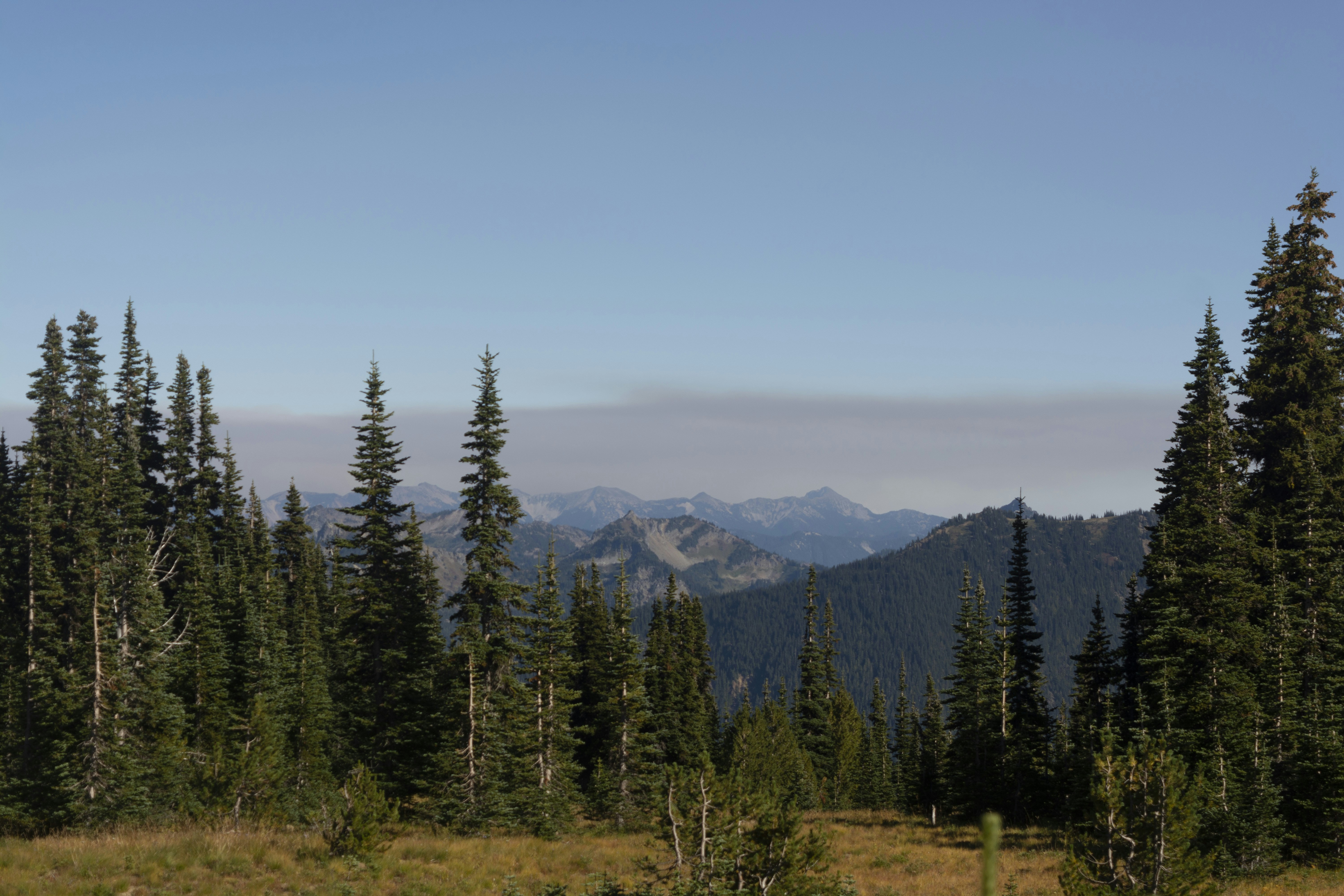 Photo by ashima_4595