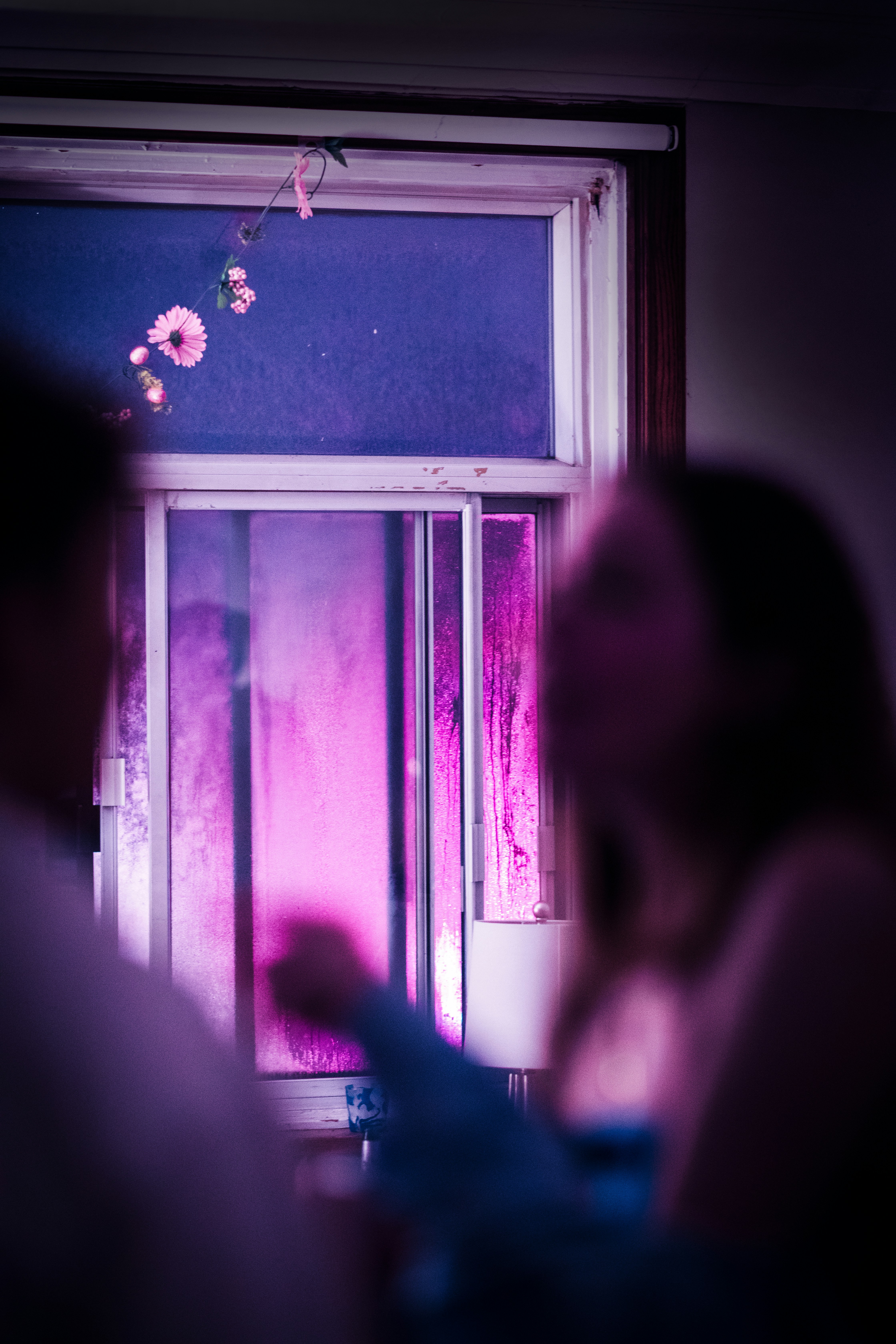 Purple Window Pictures | Download Free Images on Unsplash