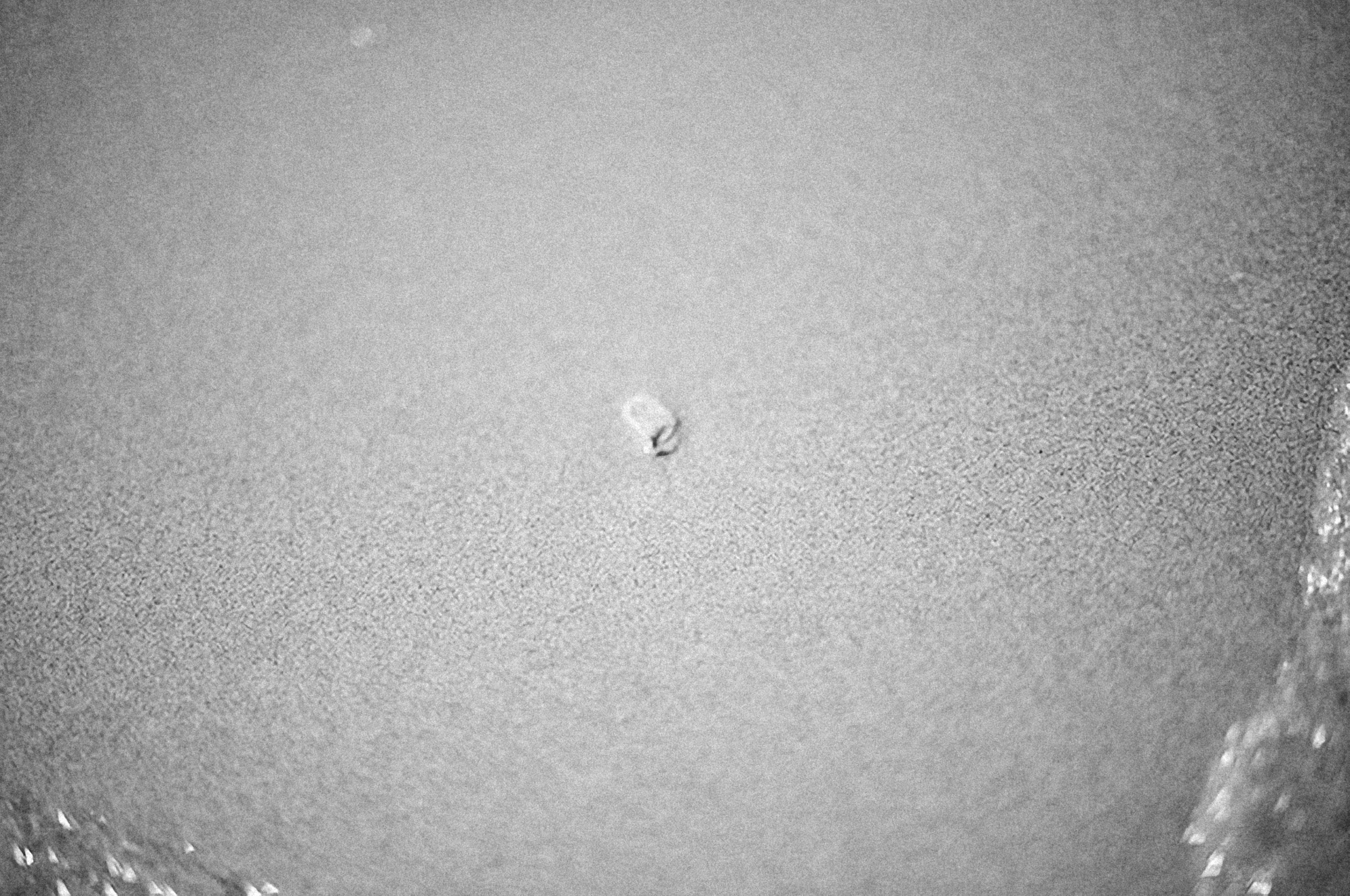 Photo by alexeydemidov