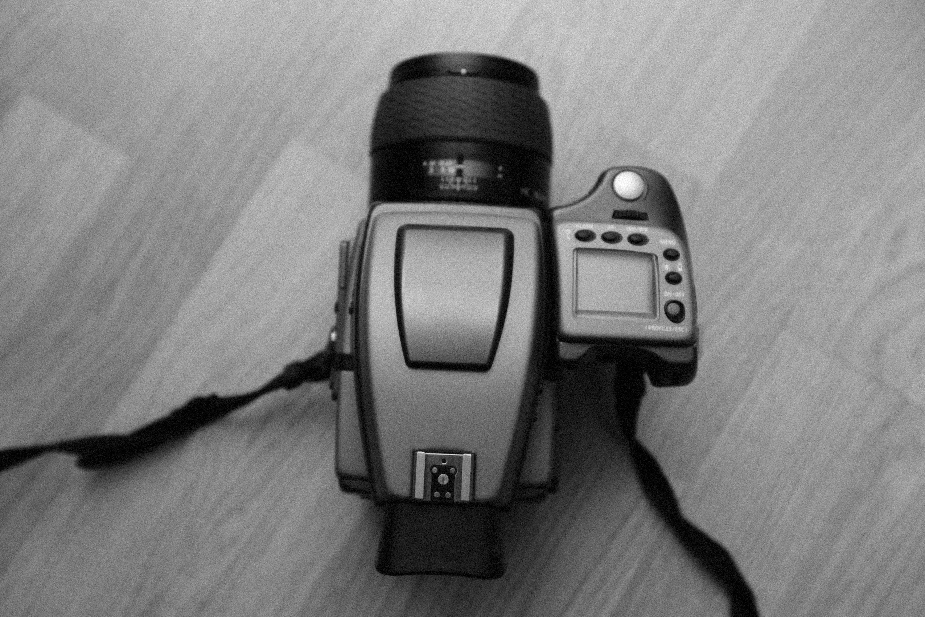 Photo by alexeydemidov