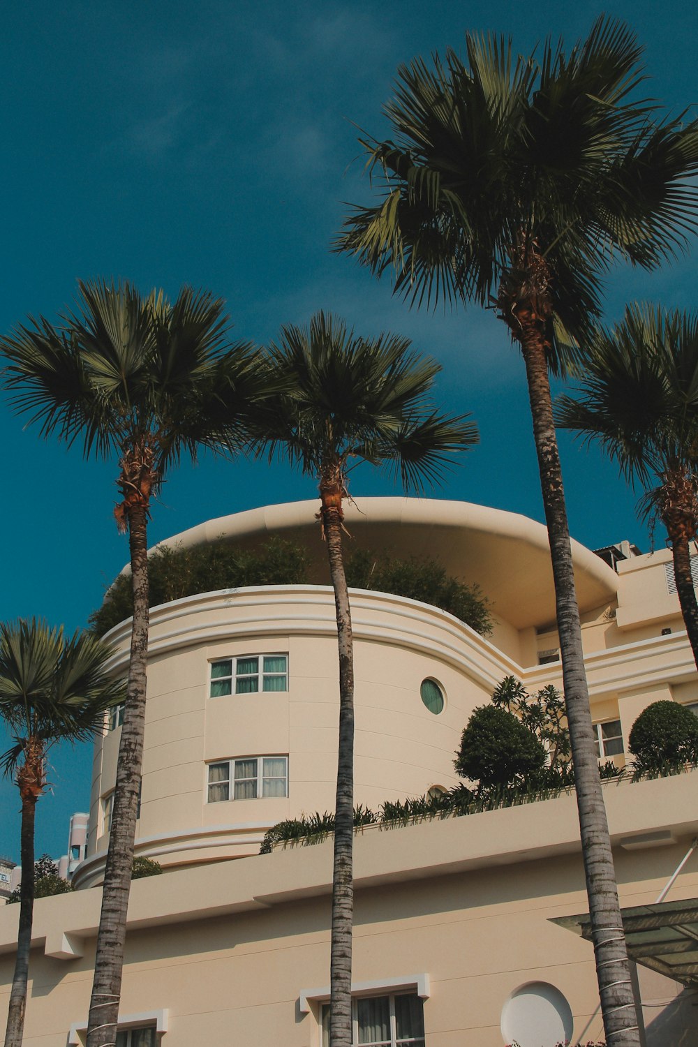 a building with palm trees in front of it