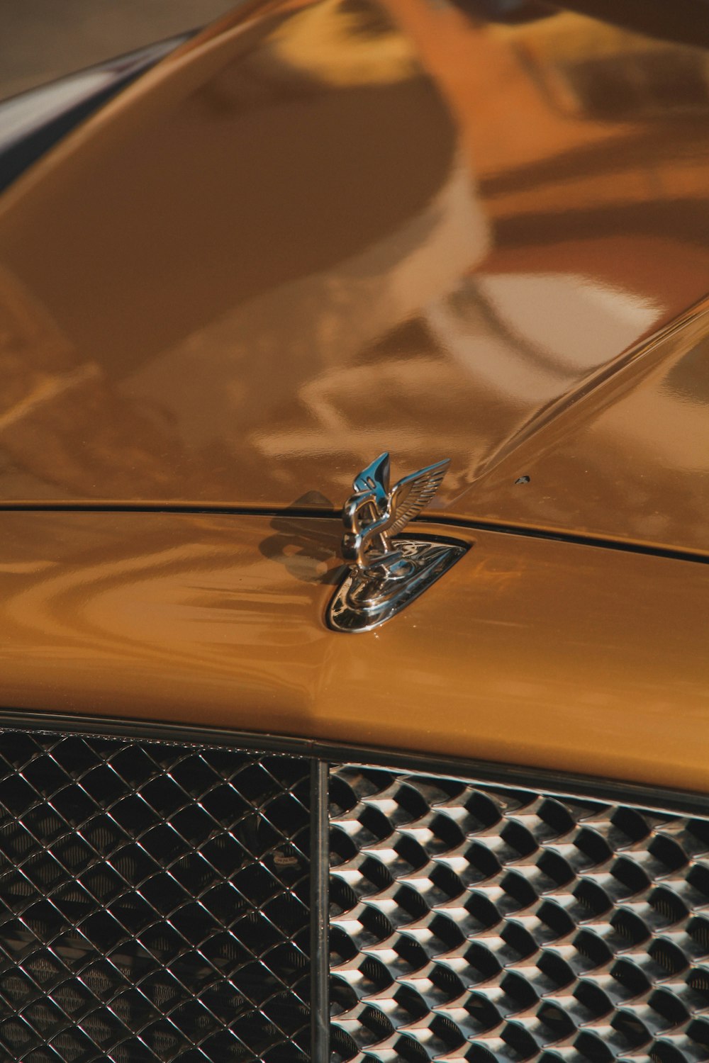 a close up of the hood ornament of a car