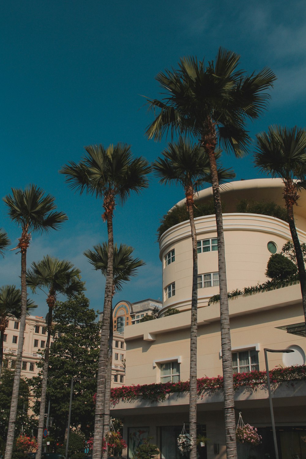 palm trees in front of a building on a sunny day