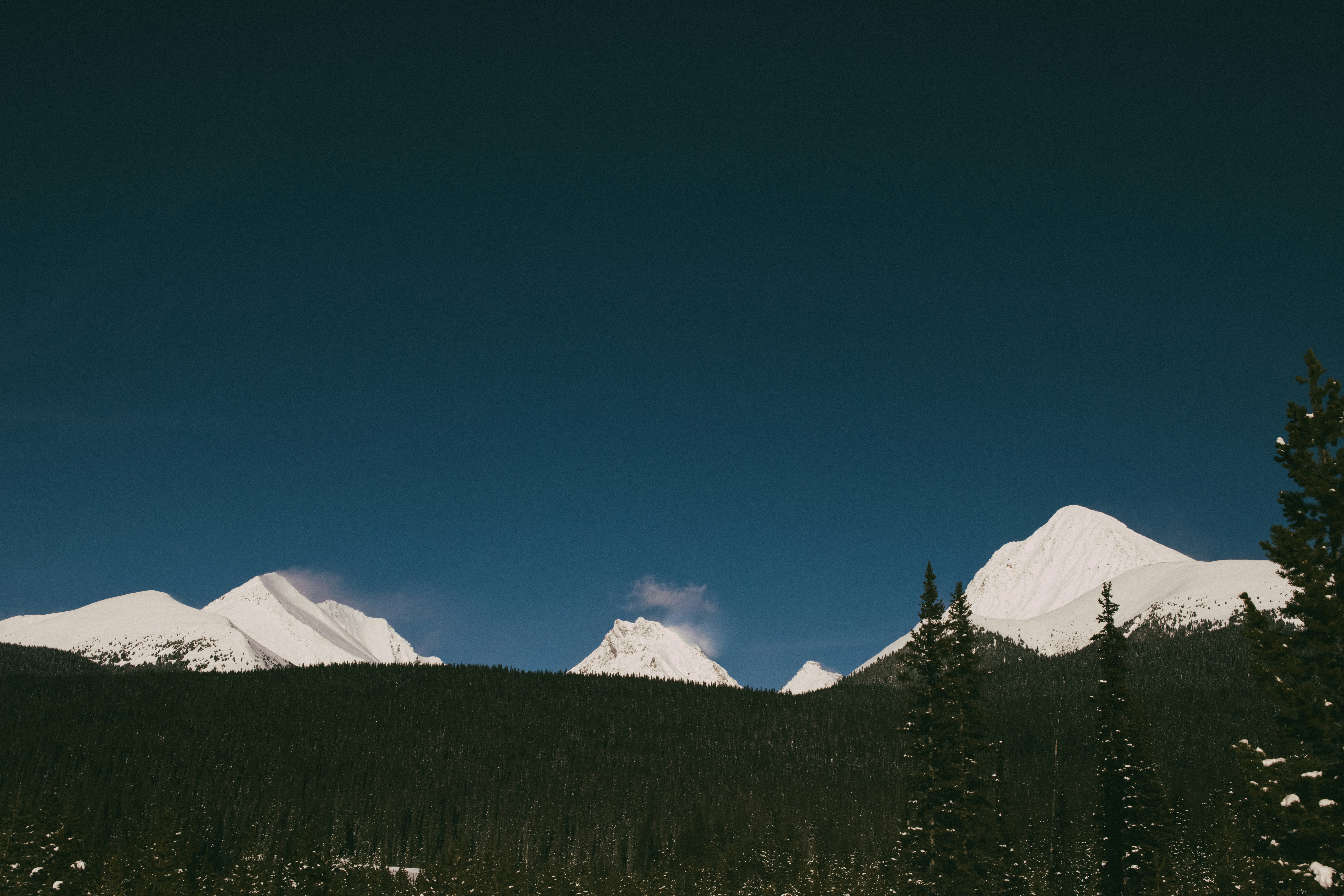 Photo by capturesawyer