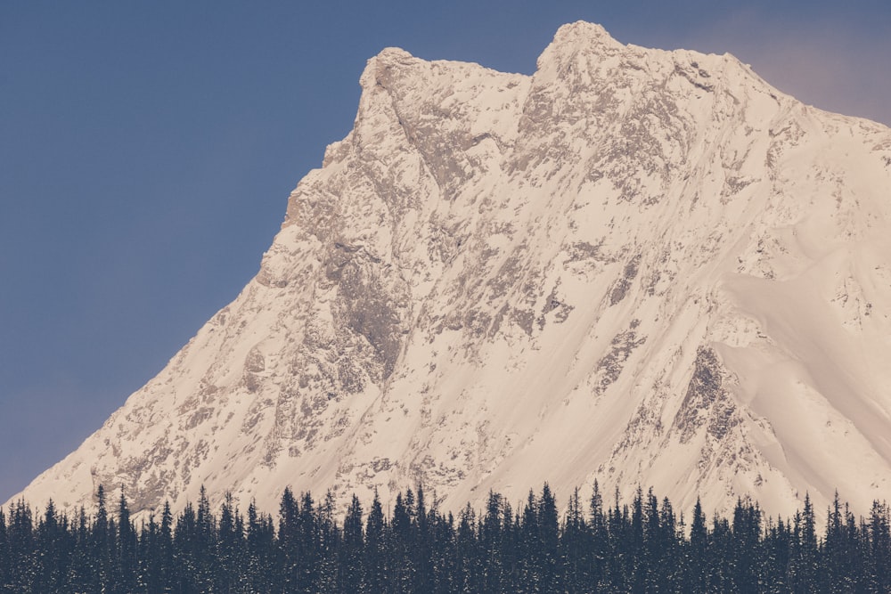 a snow covered mountain with trees in the foreground