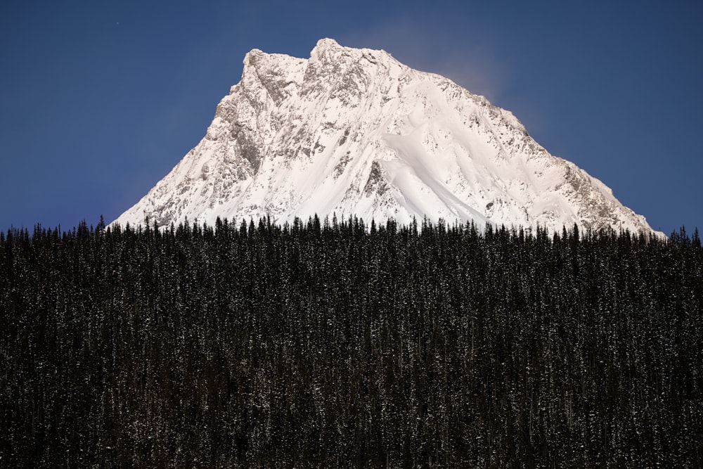 a snow covered mountain with trees in the foreground