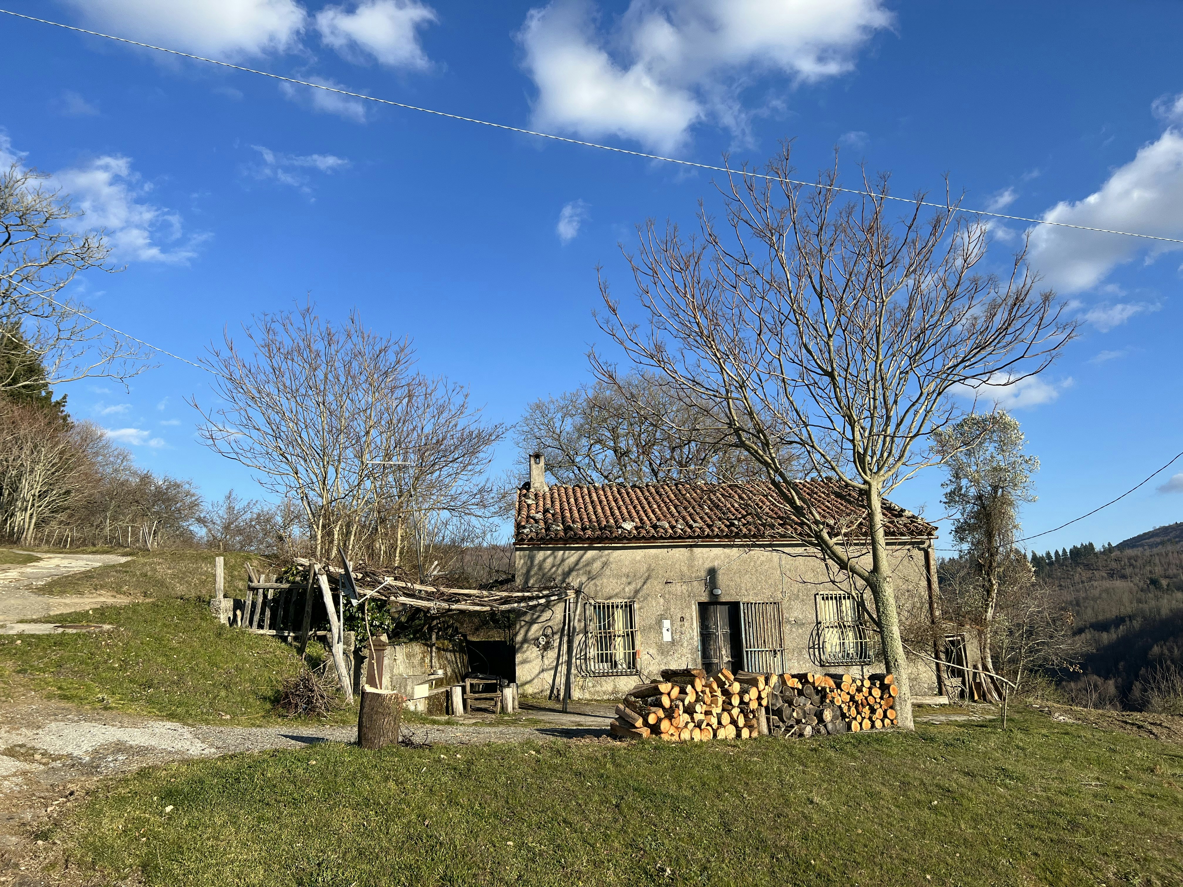 Photo by annamaria17