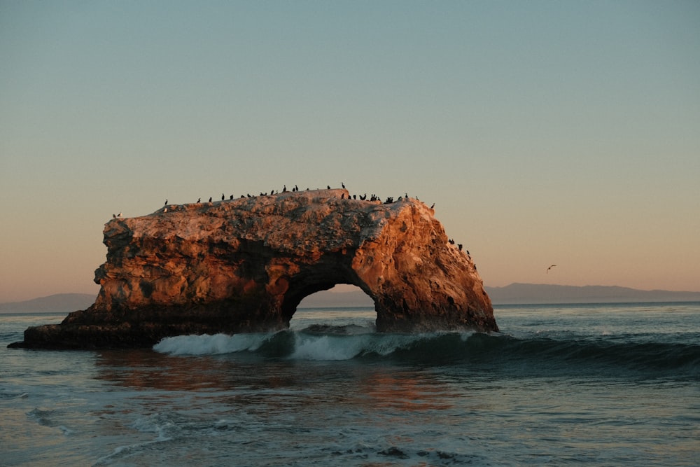 a flock of birds sitting on top of a rock in the ocean