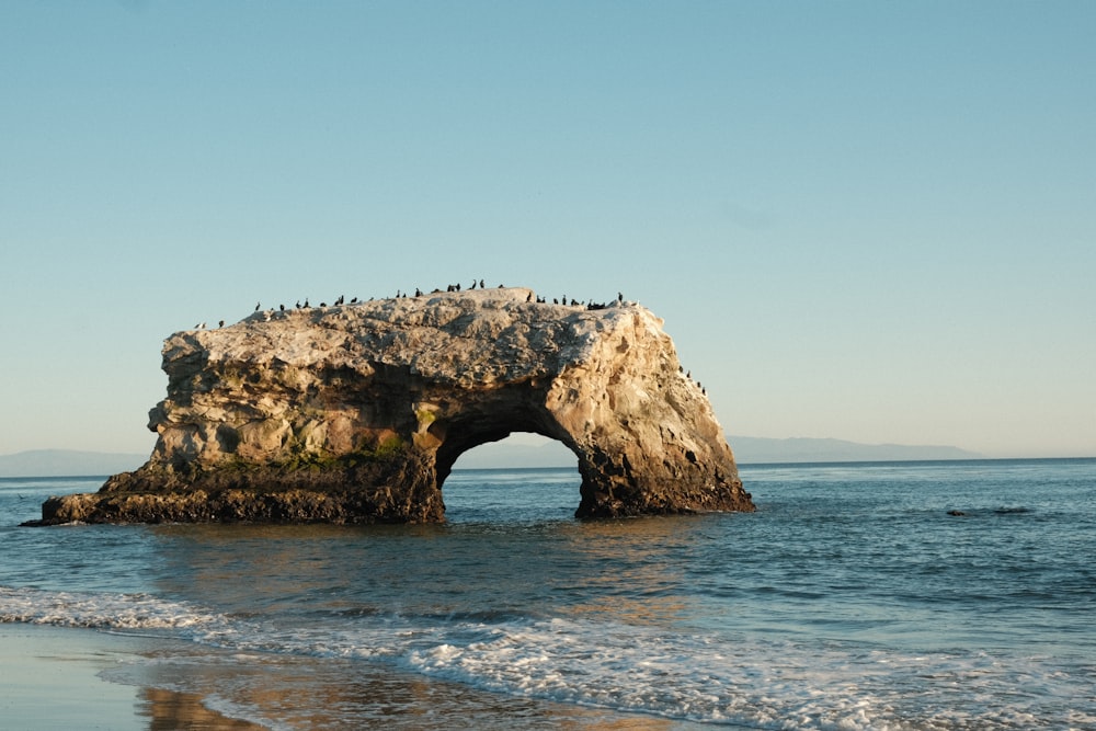 a group of birds sitting on top of a rock in the ocean