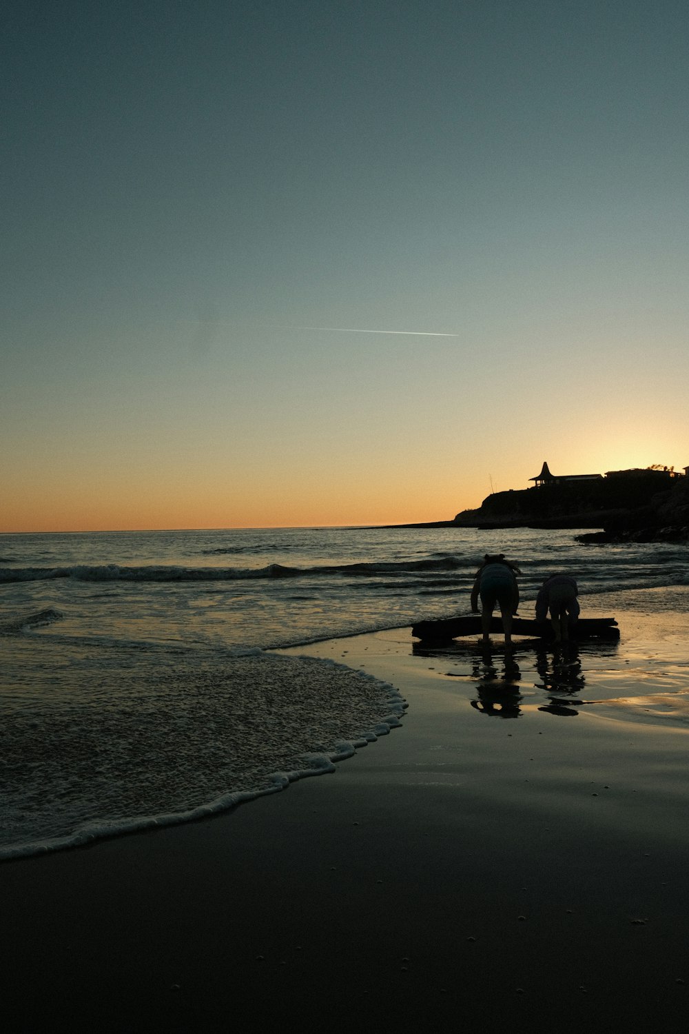 a couple of elephants standing on top of a sandy beach