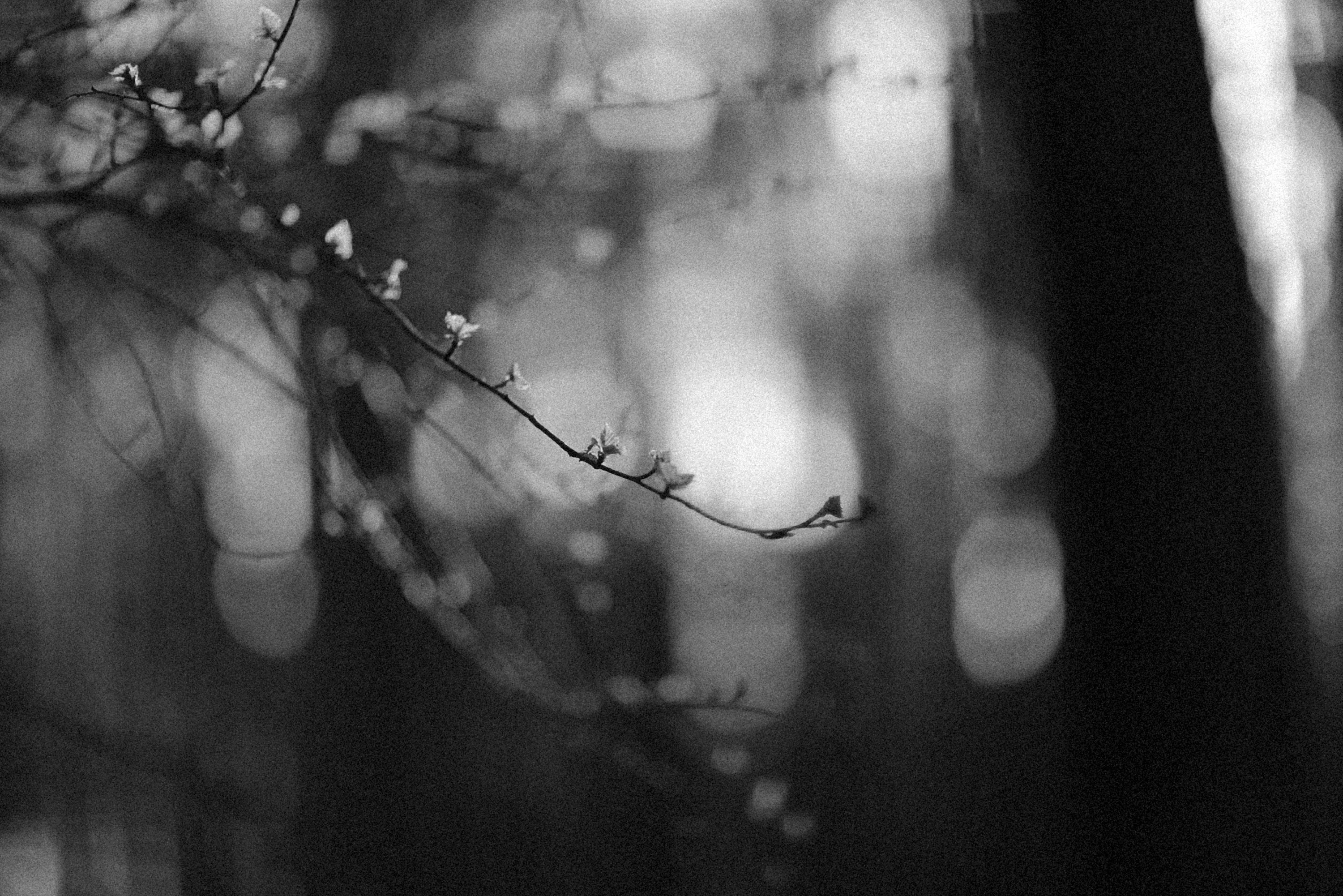 Photo by alexeydemidov