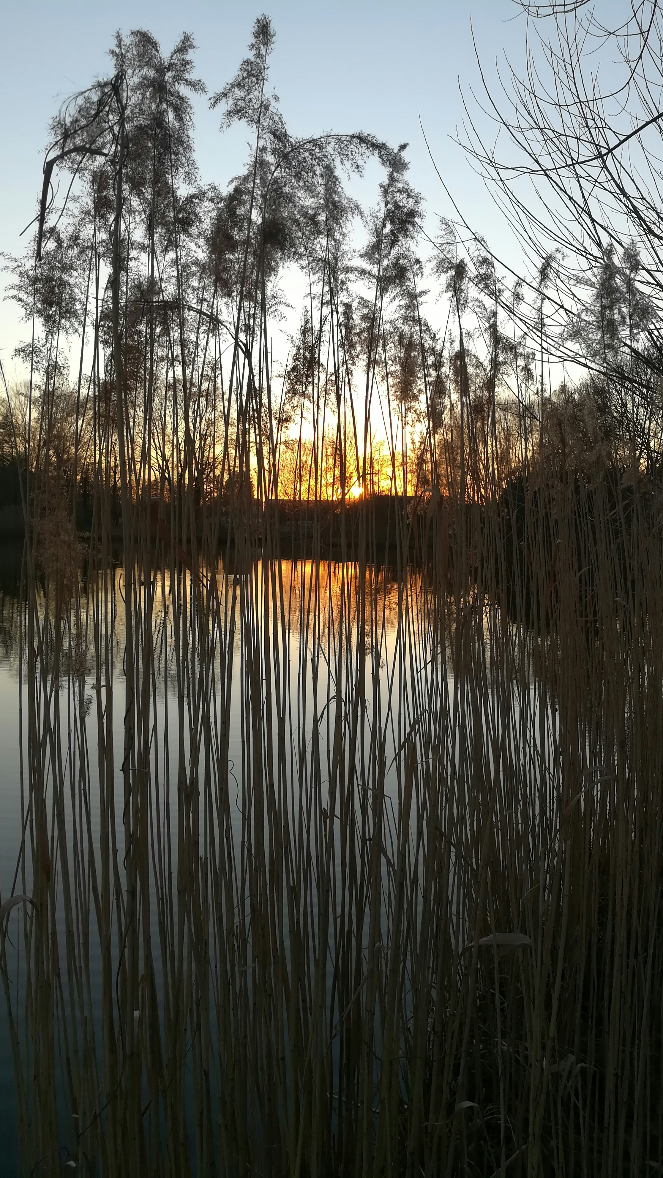 Photo by schreibmich