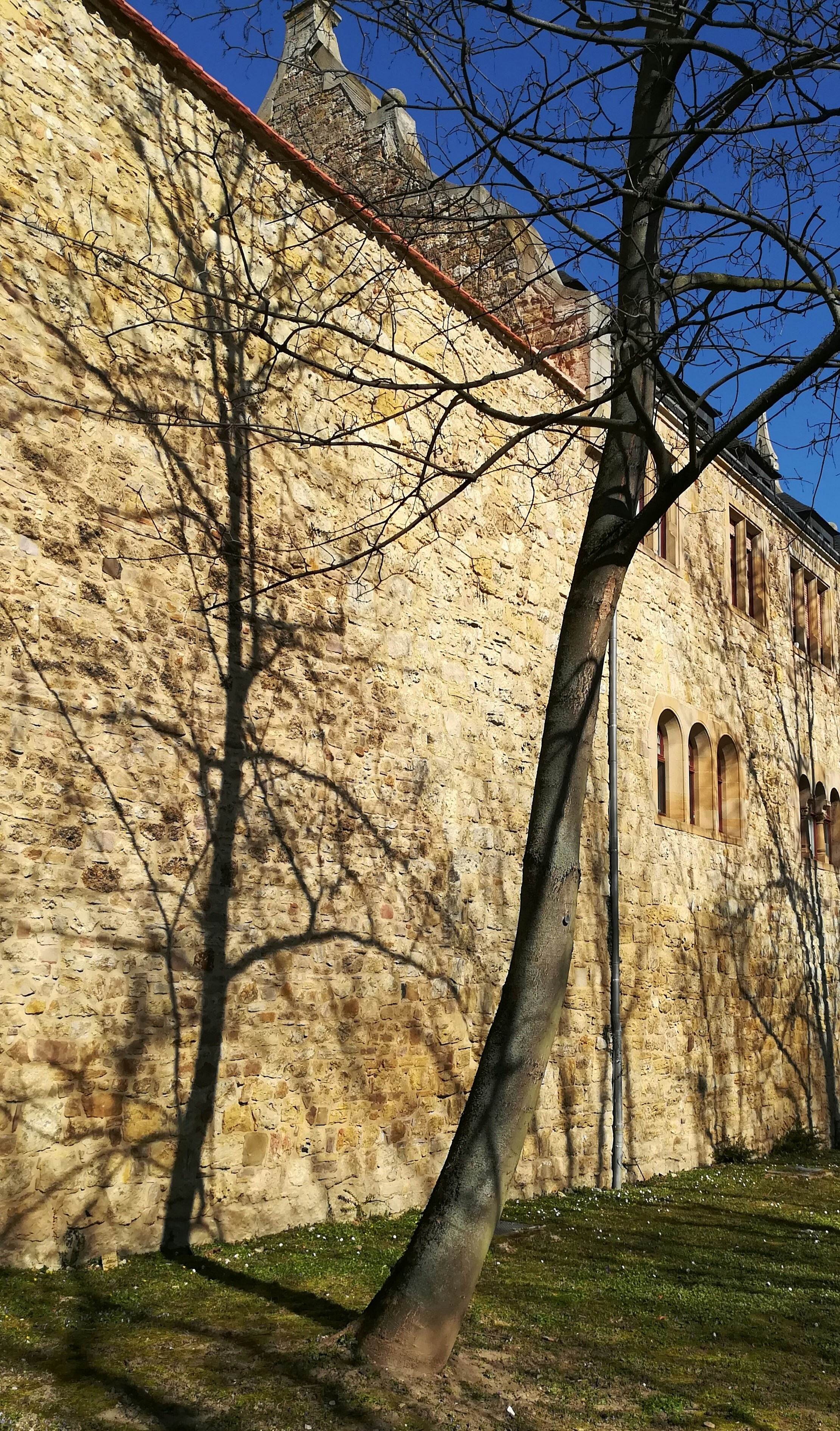 Photo by schreibmich