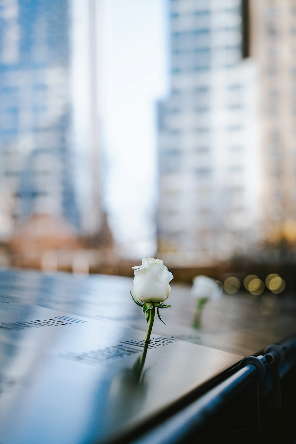 a single white rose sitting on top of a table