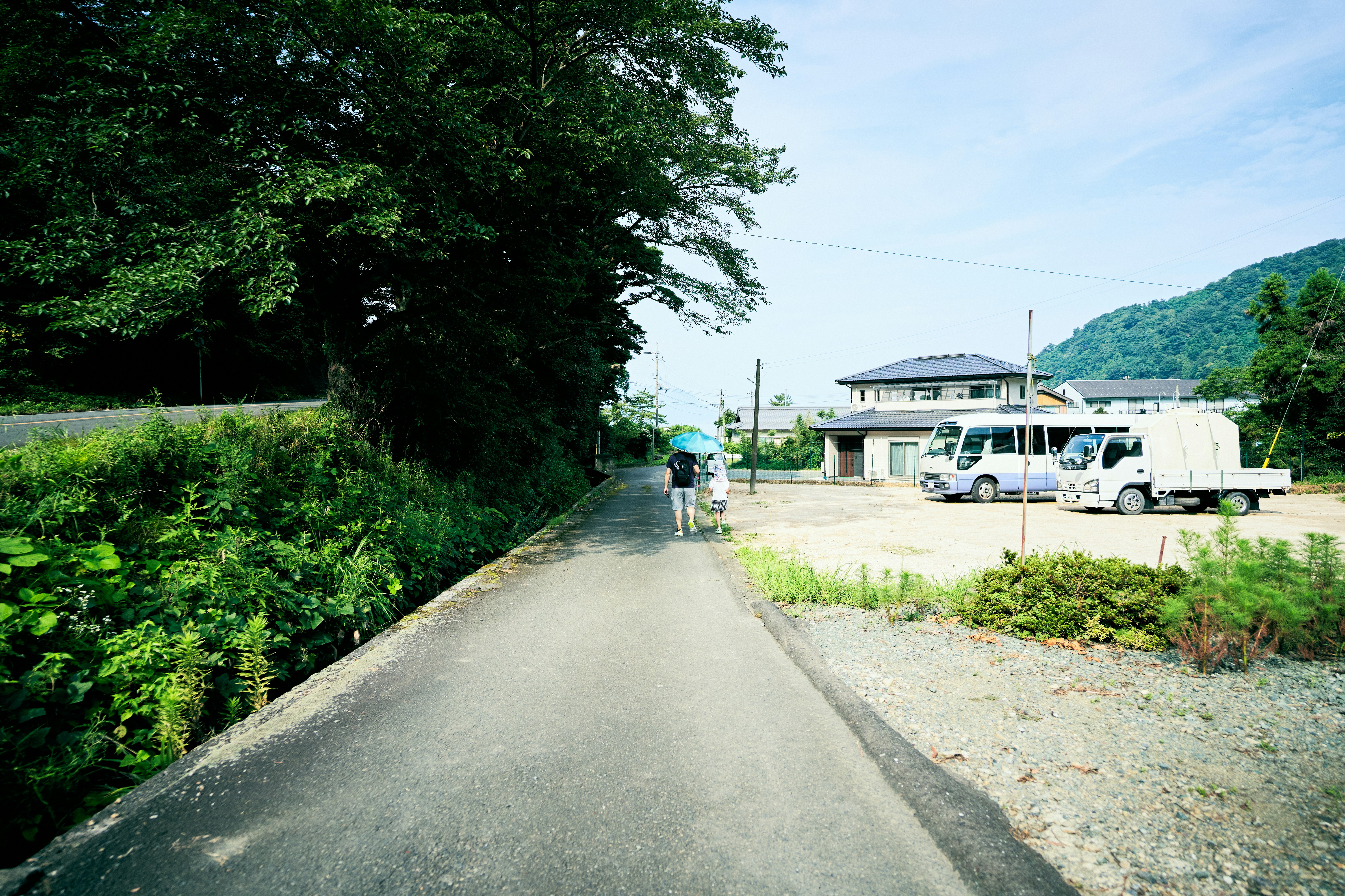 a truck parked on the side of a road next to a lush green forest