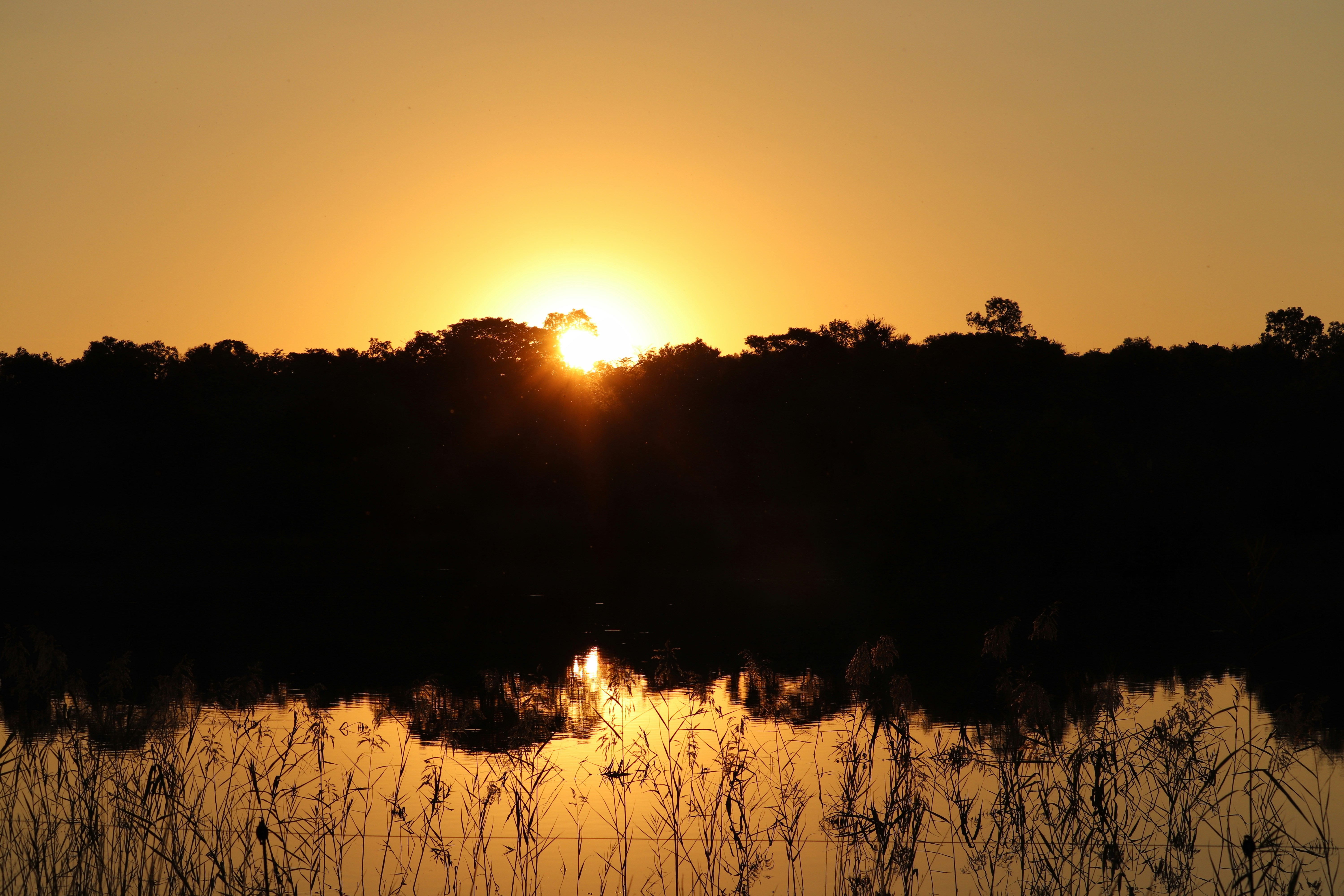 Photo by mlrakhuduwe