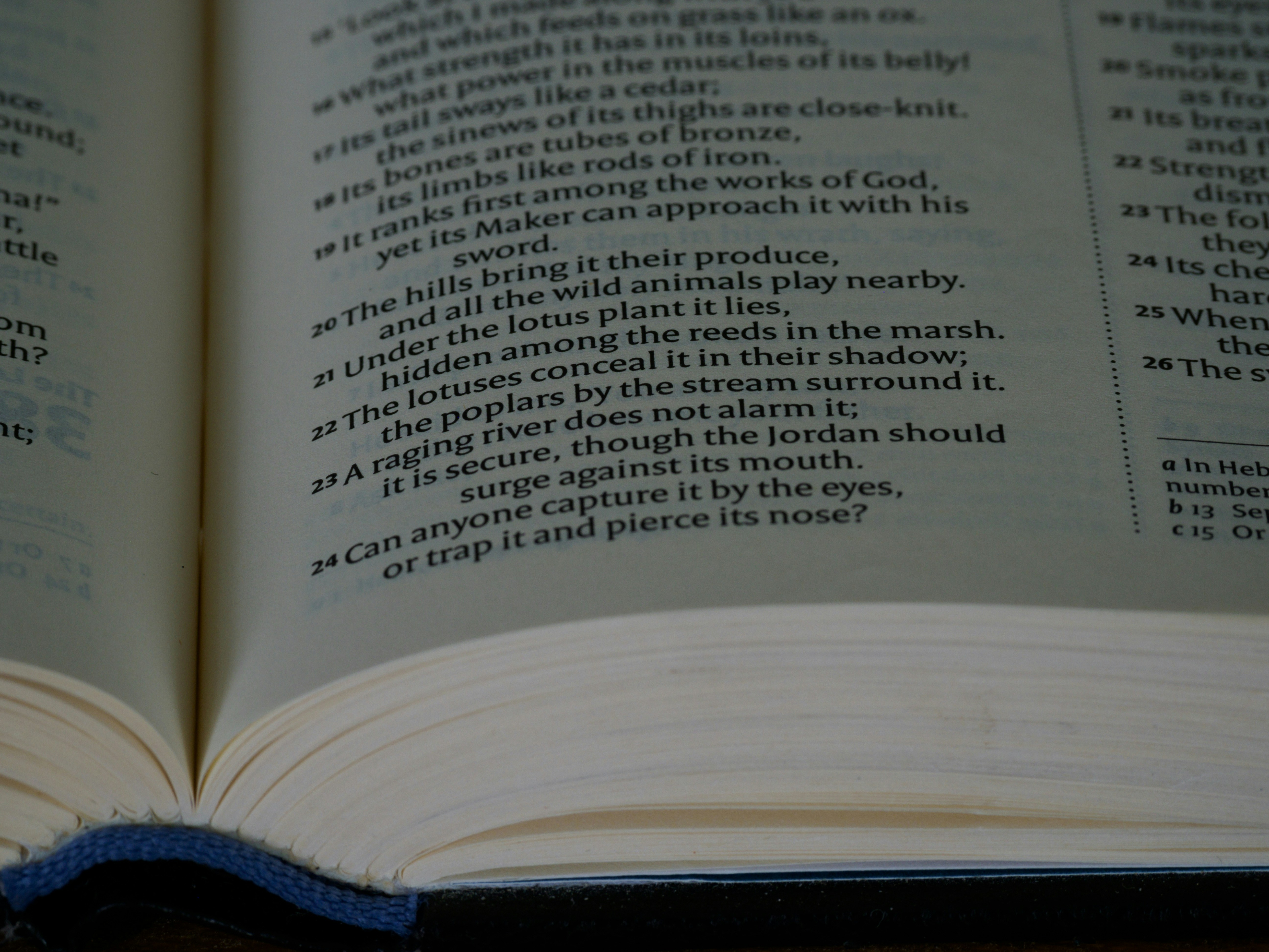 Photo by brett_jordan