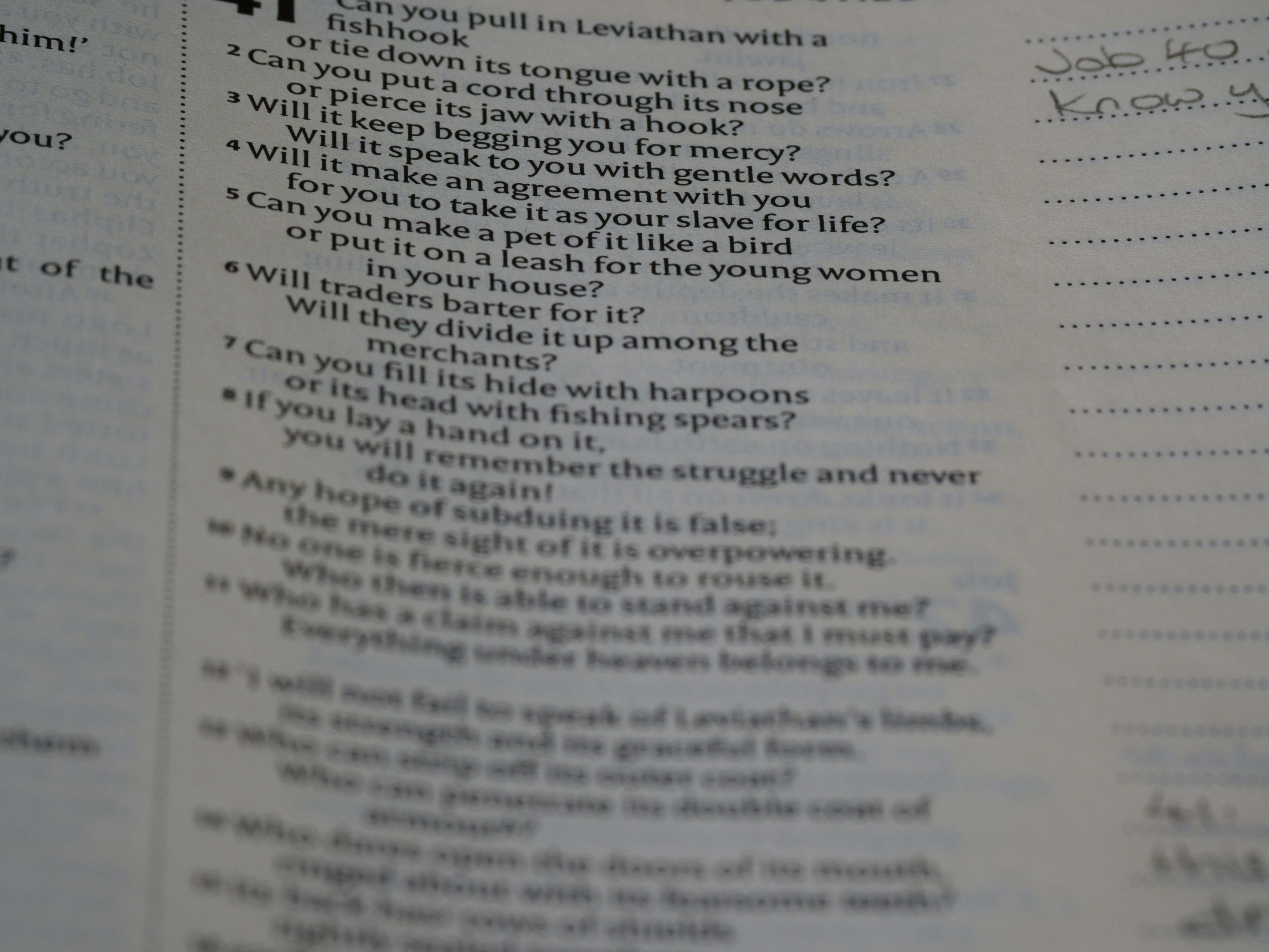 Photo by brett_jordan