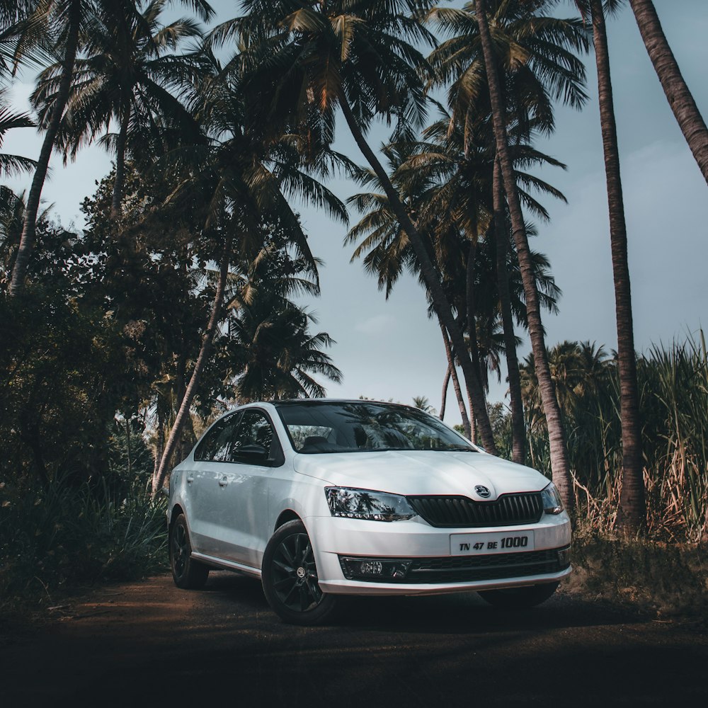a white car parked in front of palm trees