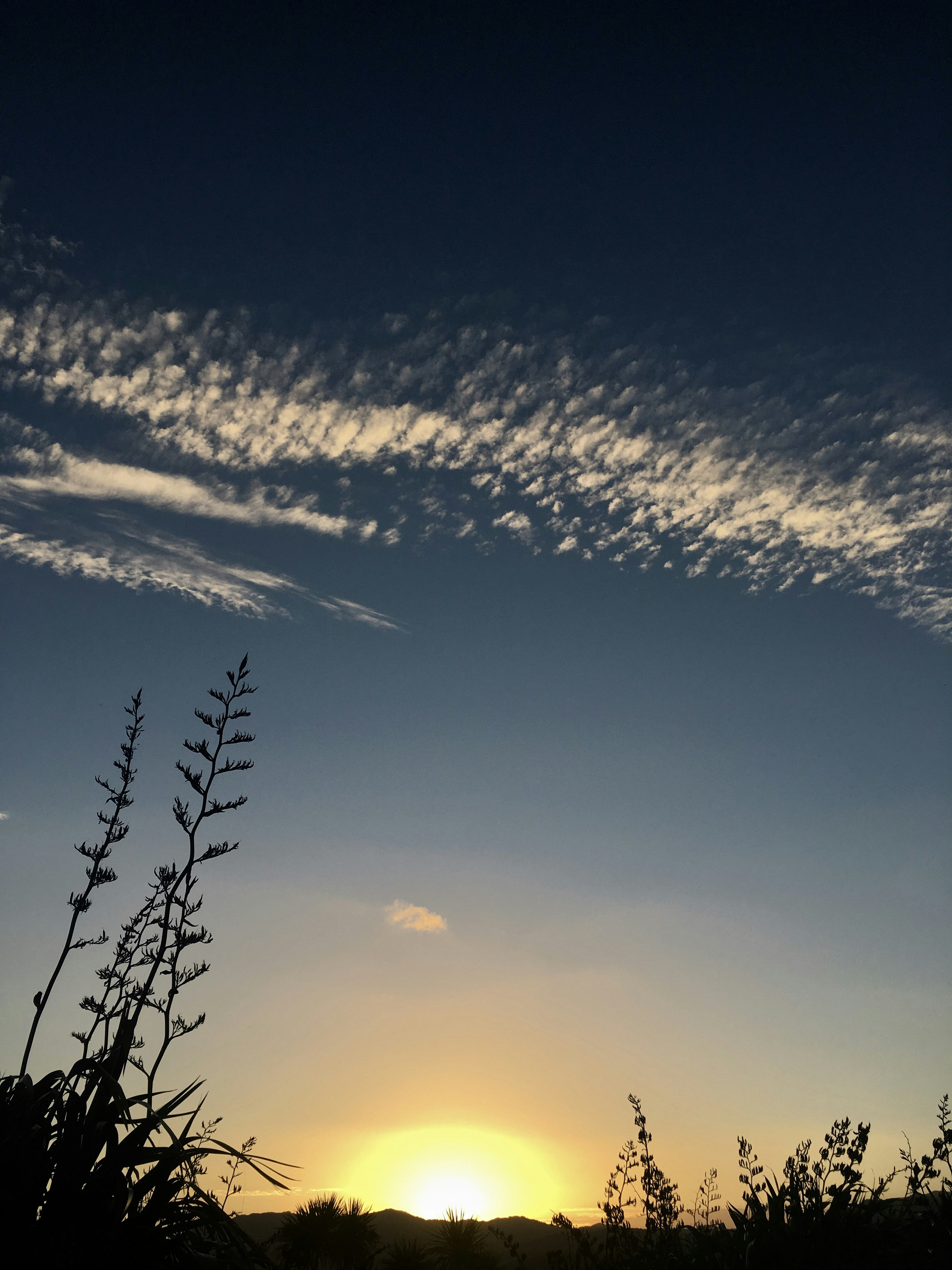 Photo by gramil24