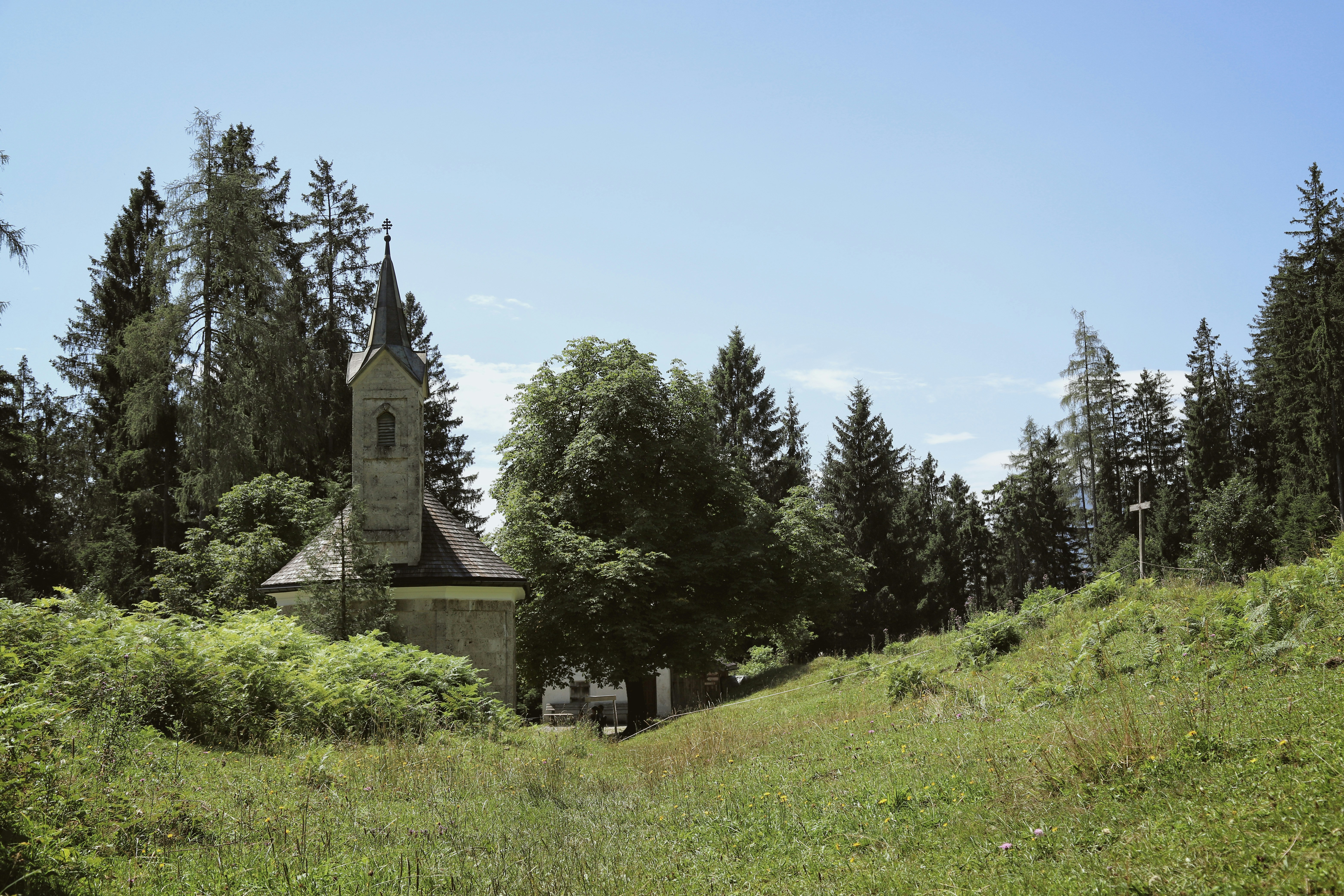an old church in the middle of a forest