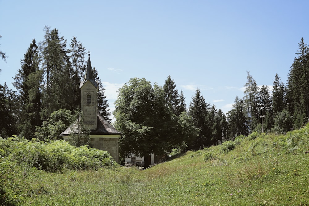 an old church in the middle of a forest