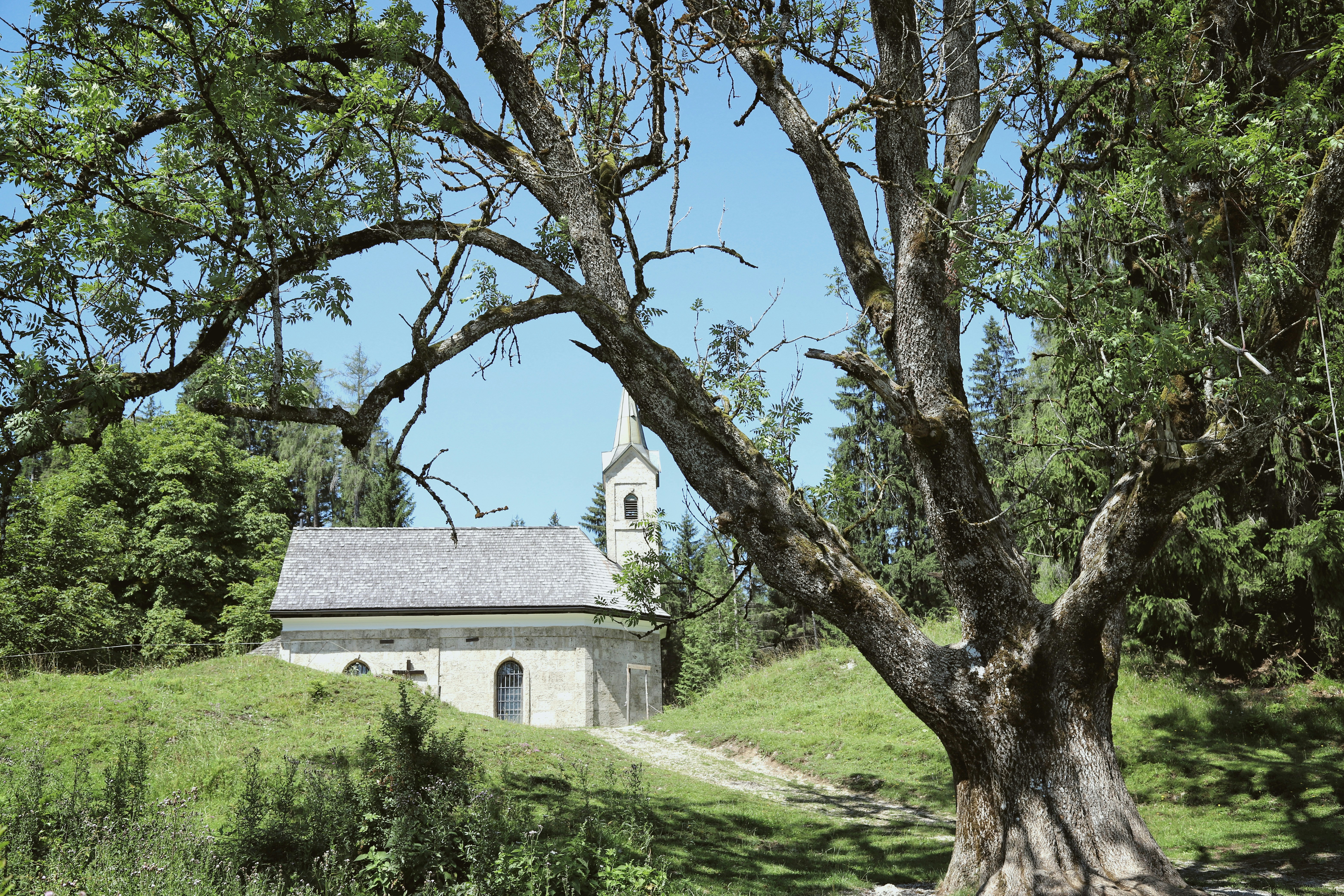 Photo by avensbuttercup