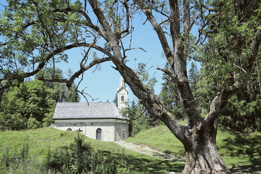 a small church on a hill surrounded by trees