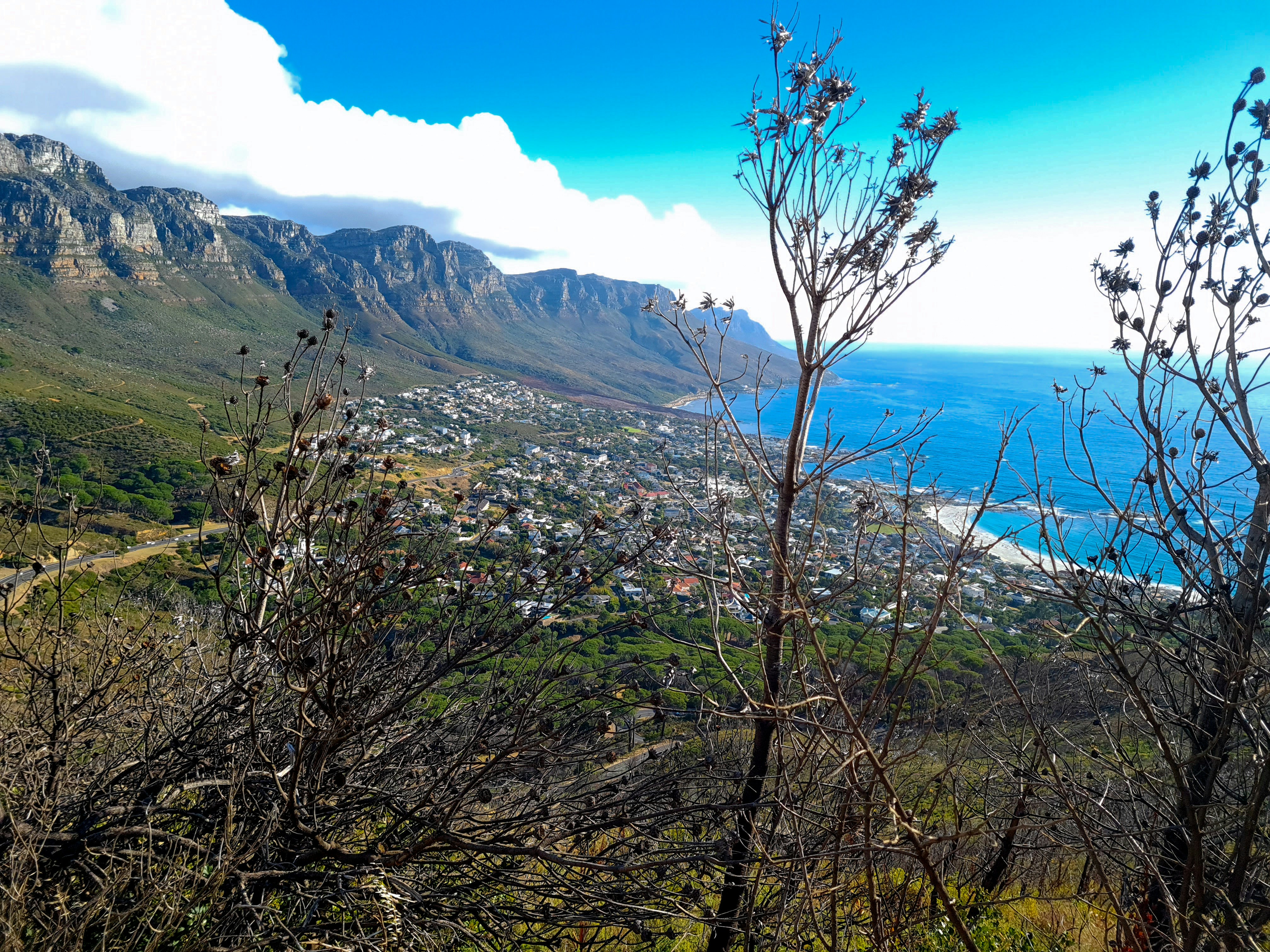Apostles Views