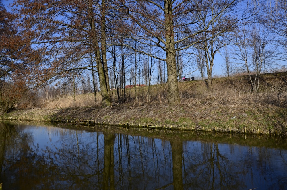 a body of water surrounded by trees and grass